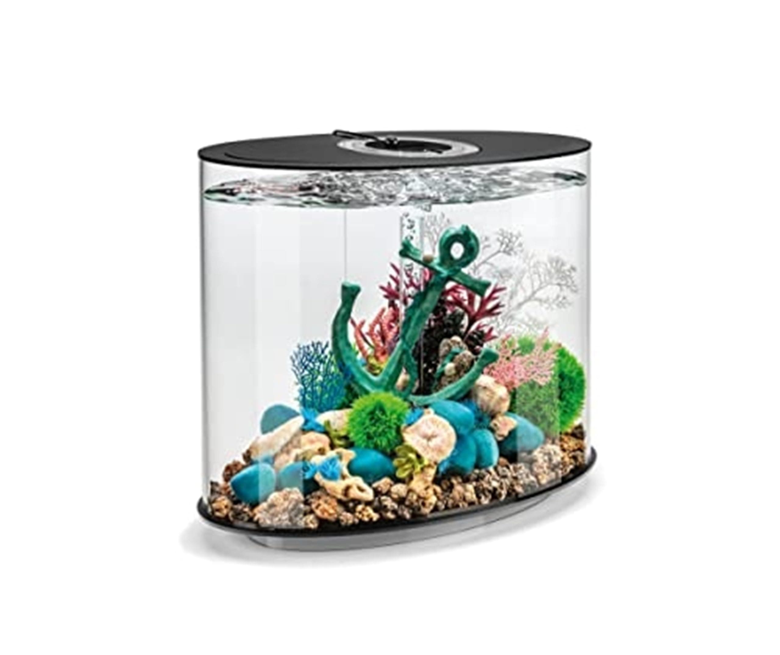 biOrb LOOP 30 Aquarium (Black, 30 Litres), Perfect Beginner Fish Tank With Integrated LED Lights, Quick & Easy To Set Up, 360-Degree View Aquarium With 5-Step Filtration System, Acrylic Fish Tank