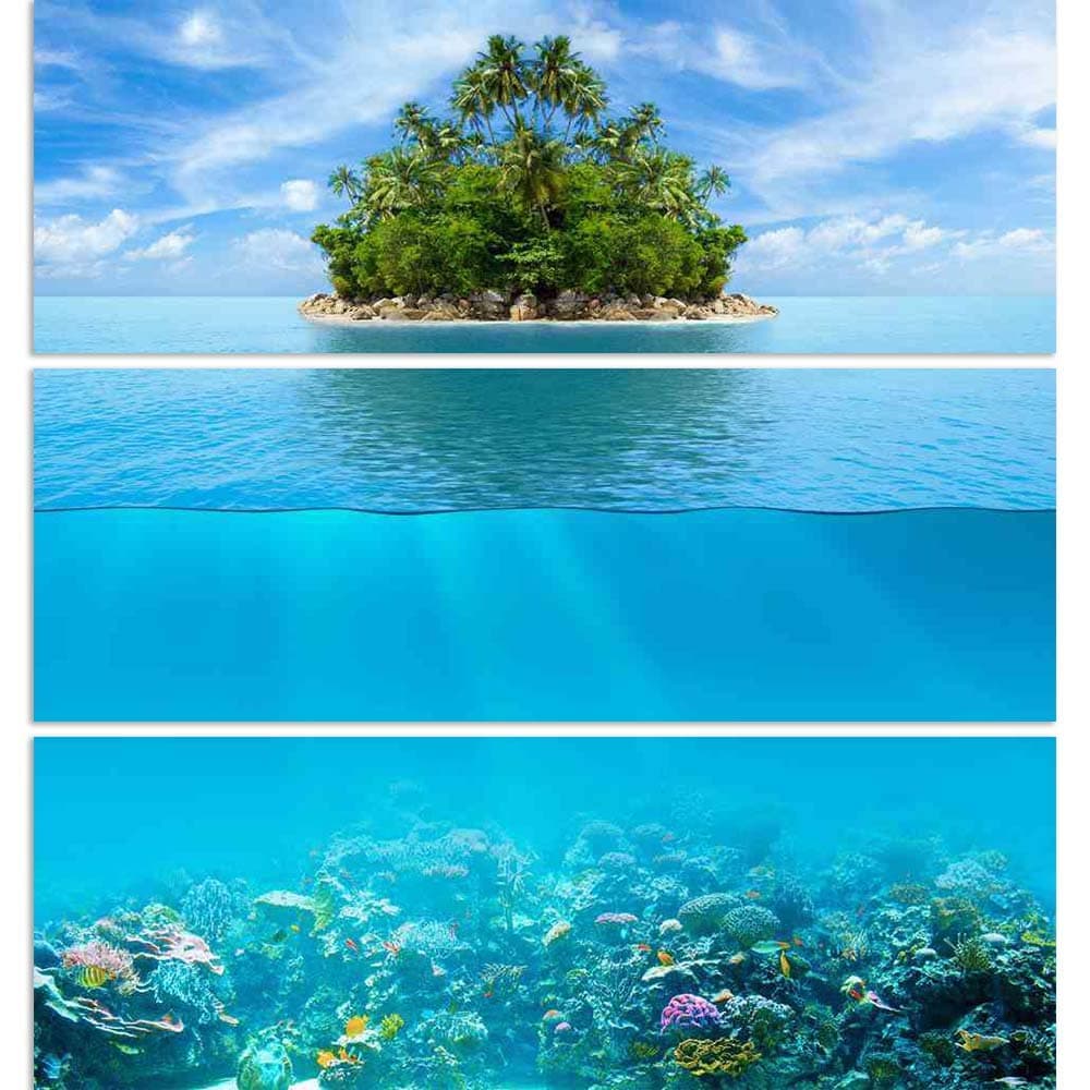 ArtzFolio Underwater Coral Reef Seabed Split Art Painting Panel on Sunboard 28inch x 29inch (71.1cms x 73.7cms)