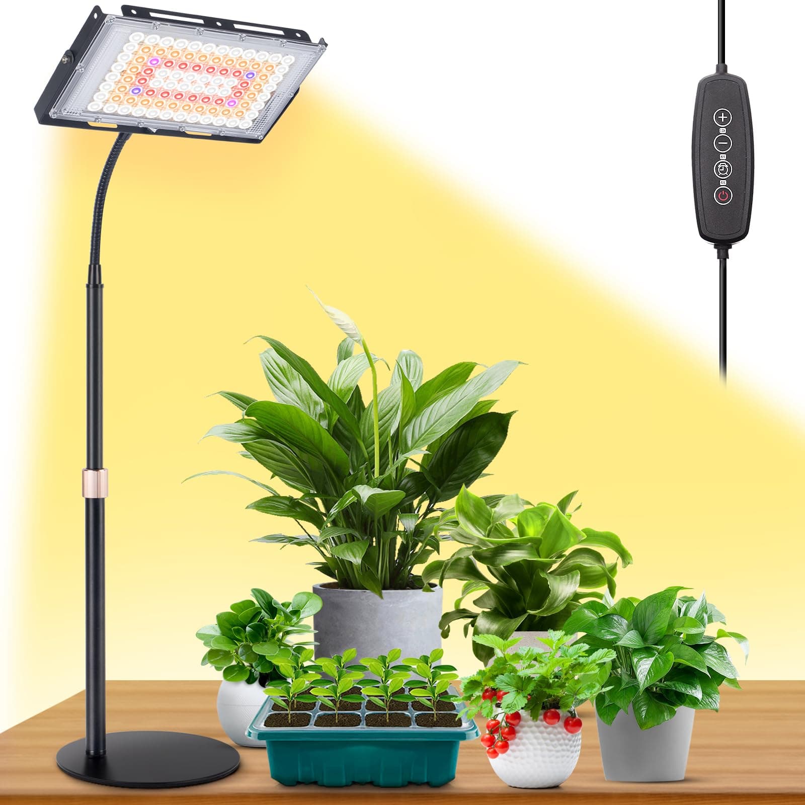 Desk Grow Light Plus with Timer