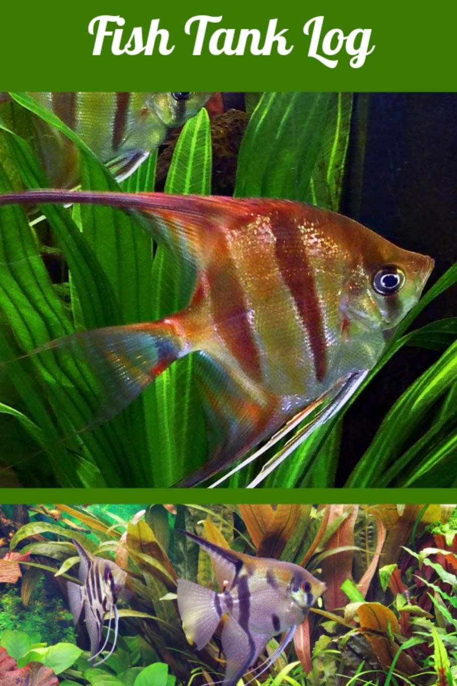 Fish Tank Log: Compact Aquarium Logging Book, Great For Tracking, Scheduling Routine Maintenance, Including Water Chemistry And Fish Health. Blank Lined (6x9 120 Pages).