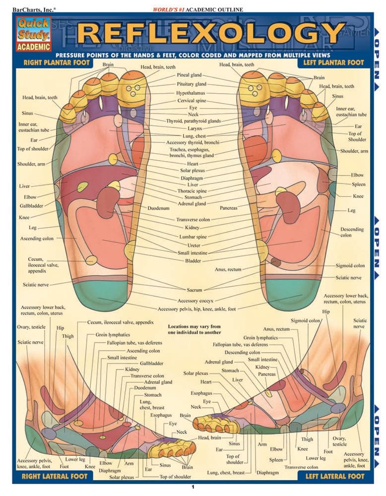 Reflexology (Quick Study Academic): Pressure Points of the Hands & Feet, Color-coded & Mapped from Multiple Views