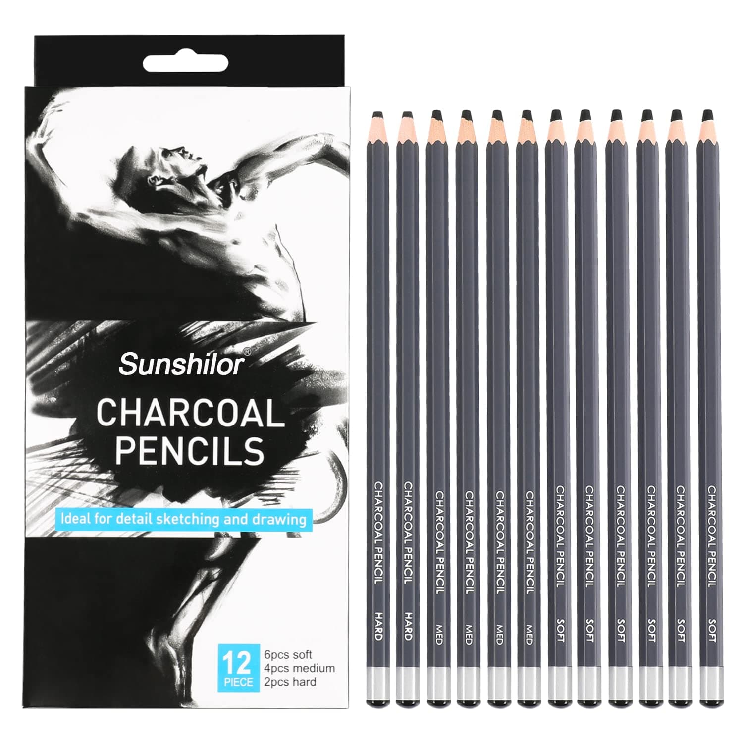 Professional Charcoal Pencils Drawing Set, 12 Pieces Soft Medium Hard Charcoal Pencils for Drawing, Sketching, Shading, Artist Pencils for Beginners & Artists
