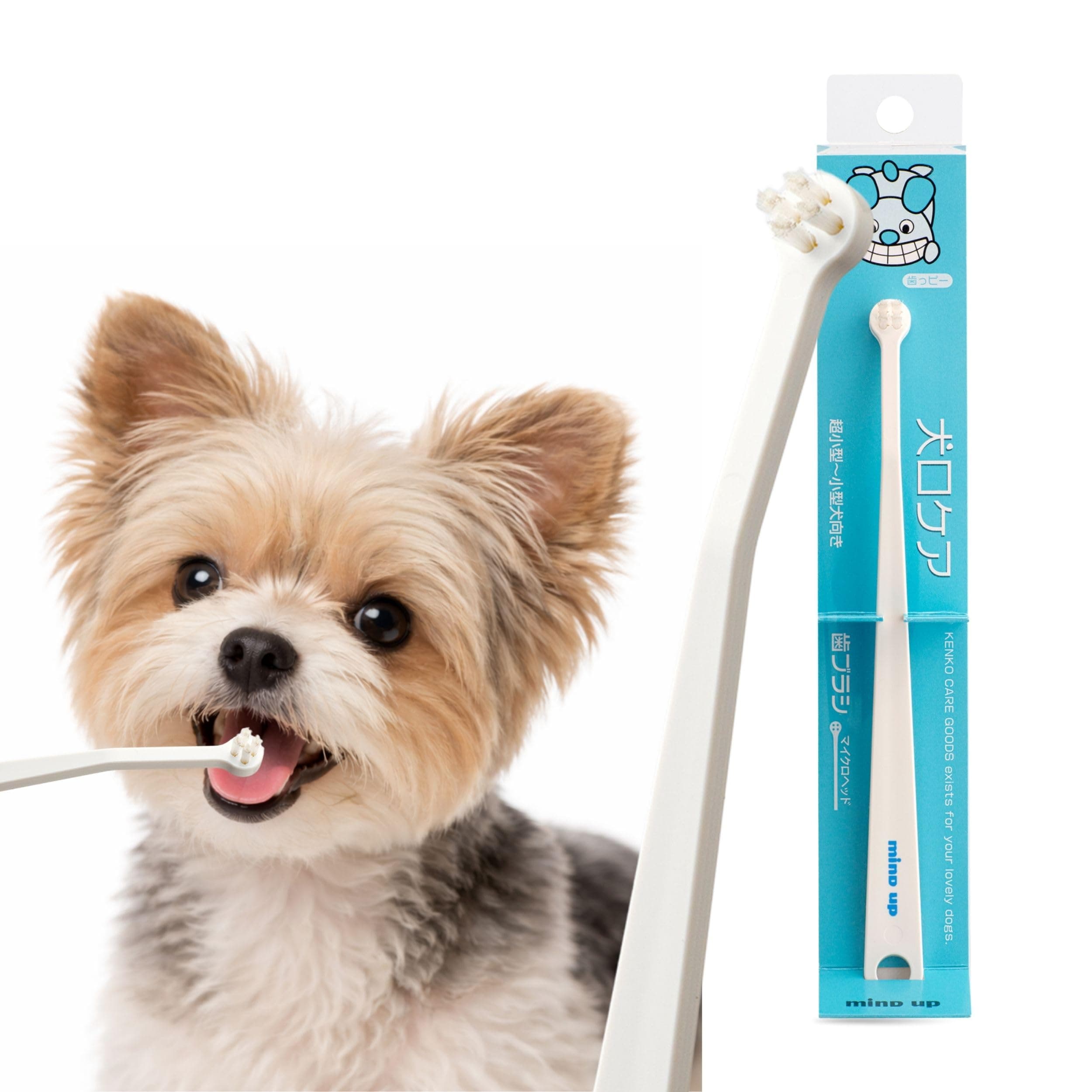 MIND UP Dog Toothbrush with Micro Head, 15° Angled Handle for Ultra-Small Dogs, Pet Toothbrush for Back Teeth & Hard-to-Reach Areas, Made in Japan