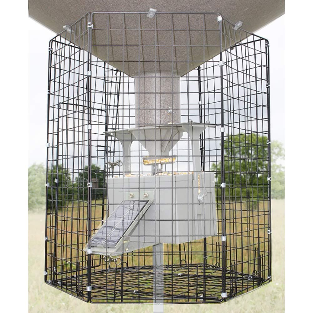 Boss Buck Varmint Cage, Black, Large