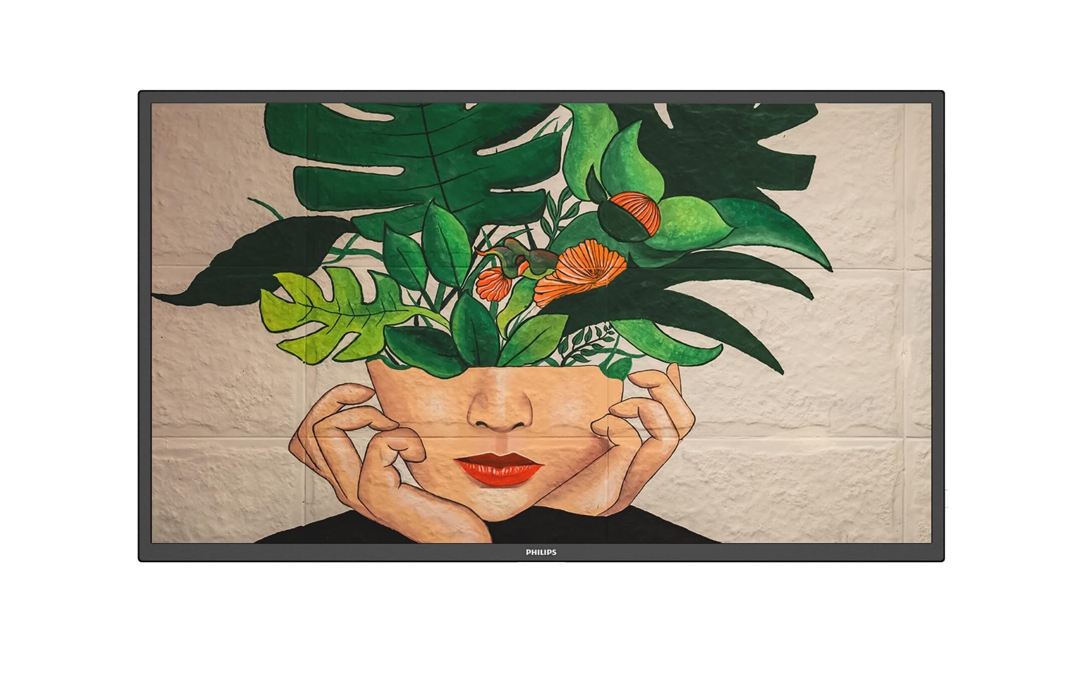 Philips D-Line 50BDL4511D/00