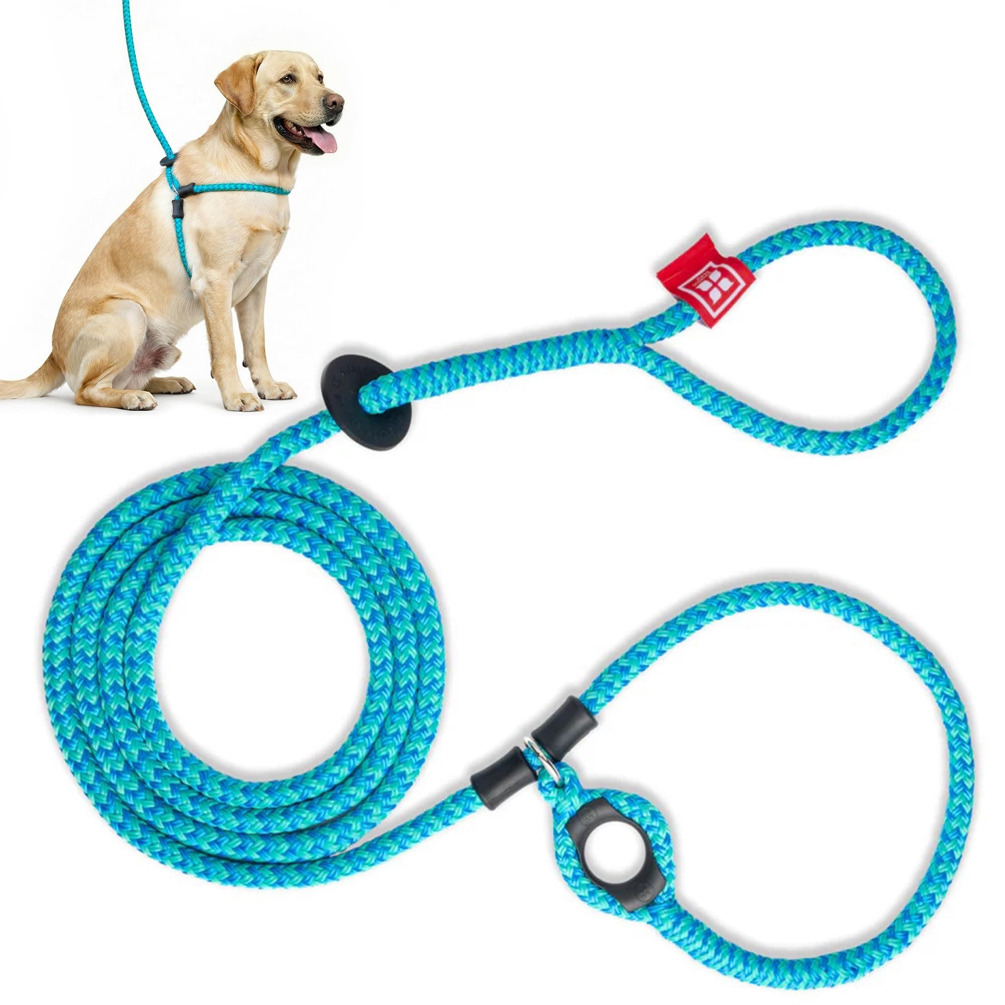Harness Lead No Pull Dog Harness and Leash Set, Anti Pull Dog Harness for All Breeds and Sizes, One-Piece Cushioned Rope Design Safely Prevents Escaping and Pulling (Medium/Large, Blue/Multi)