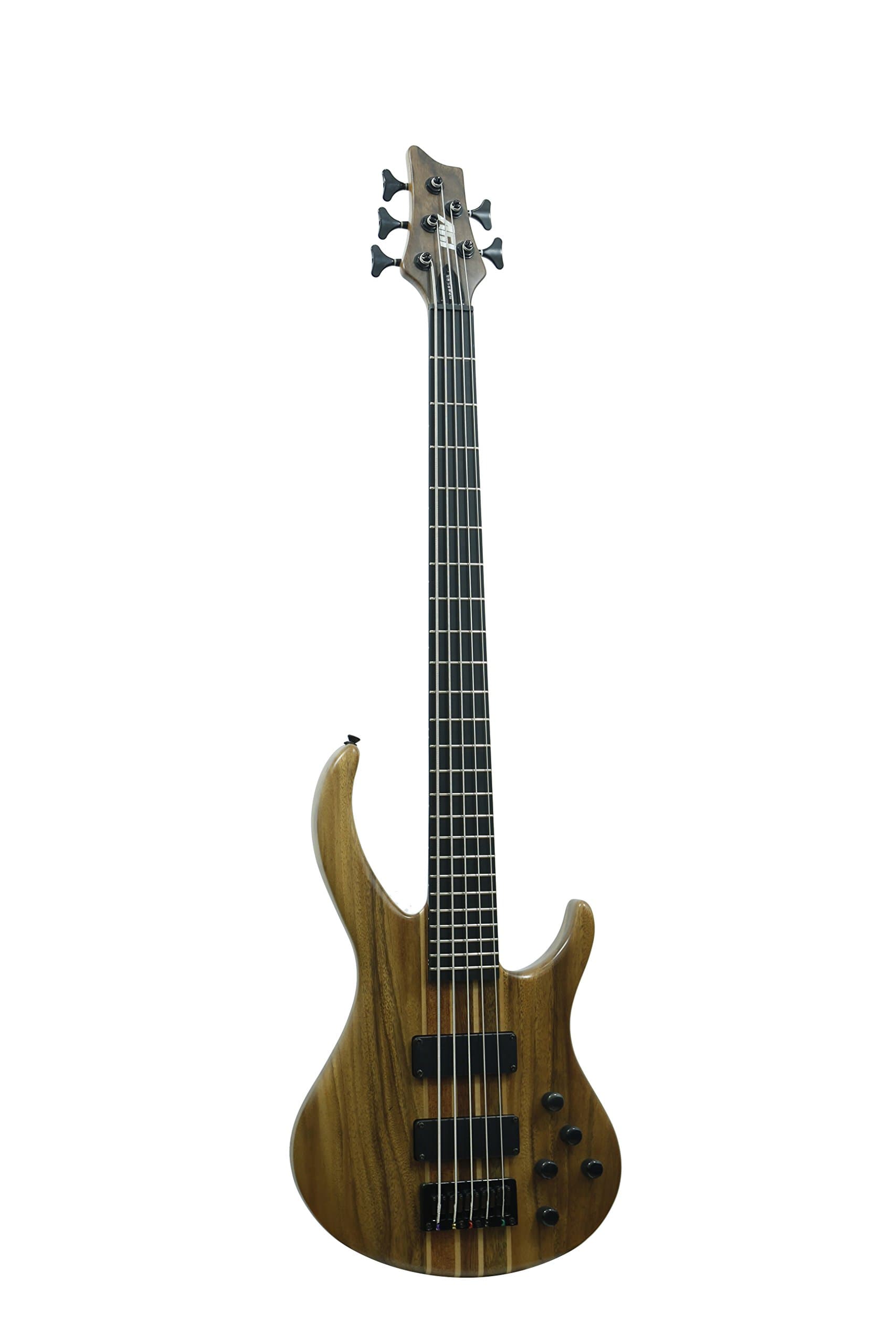 5 String IBW-550 Bass Solid-Body Electric Guitar, Natural