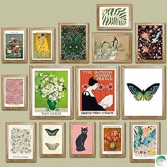 LANCHI95 15 Pcs Eclectic Wall Art Decor Framed, Modern Eclectic Home Decor, Retro Maximalist Decor Aesthetic, Vintage Wall Art Prints, Colorful Boho Gallery Wall Prints for Bedroom