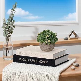 Decorative Books for Home Aesthetic Fake Books for Modern Linen Covered Photo Storage Keepsake Box for Coffee Table Farmhouse Set of 2 (Black-Beige)