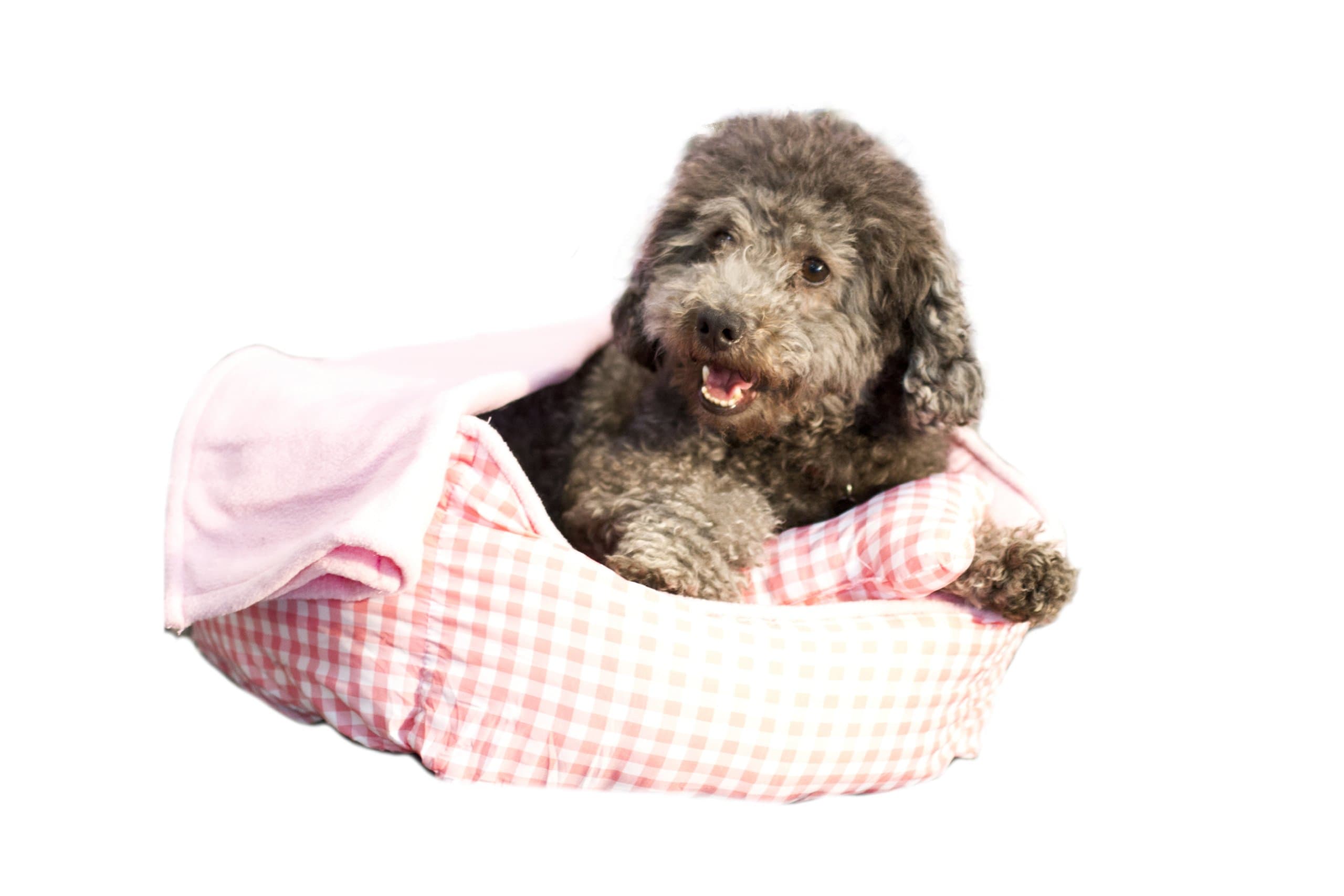 Danazoo Polyester 3-Piece Cuddler Pet Bed Set, Pink