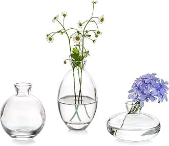 Small Vase for Table Decoration Handmade Glass Vases for Flowers, 3Pcs Clear Vintage Bud Vases Aesthetic Mini Vase Set for Kawaii Living Room Decor Bedroom Ornaments Wedding Centrepieces