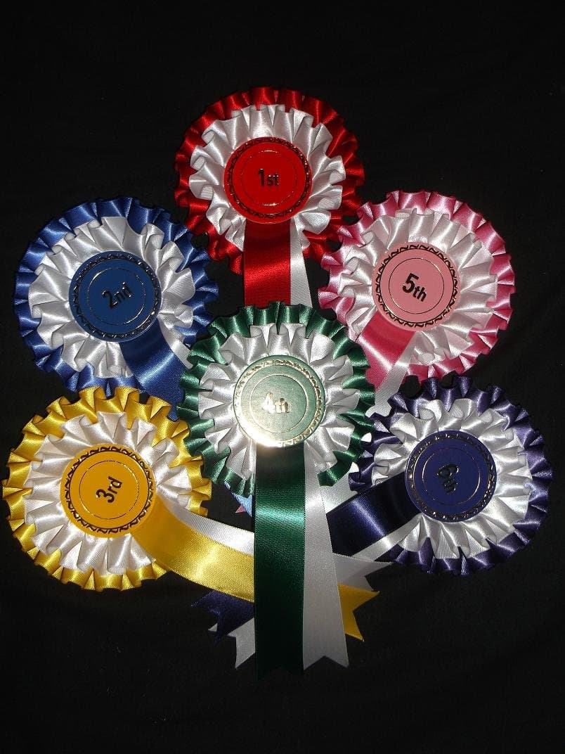 Set of 1st - 6th rosettes