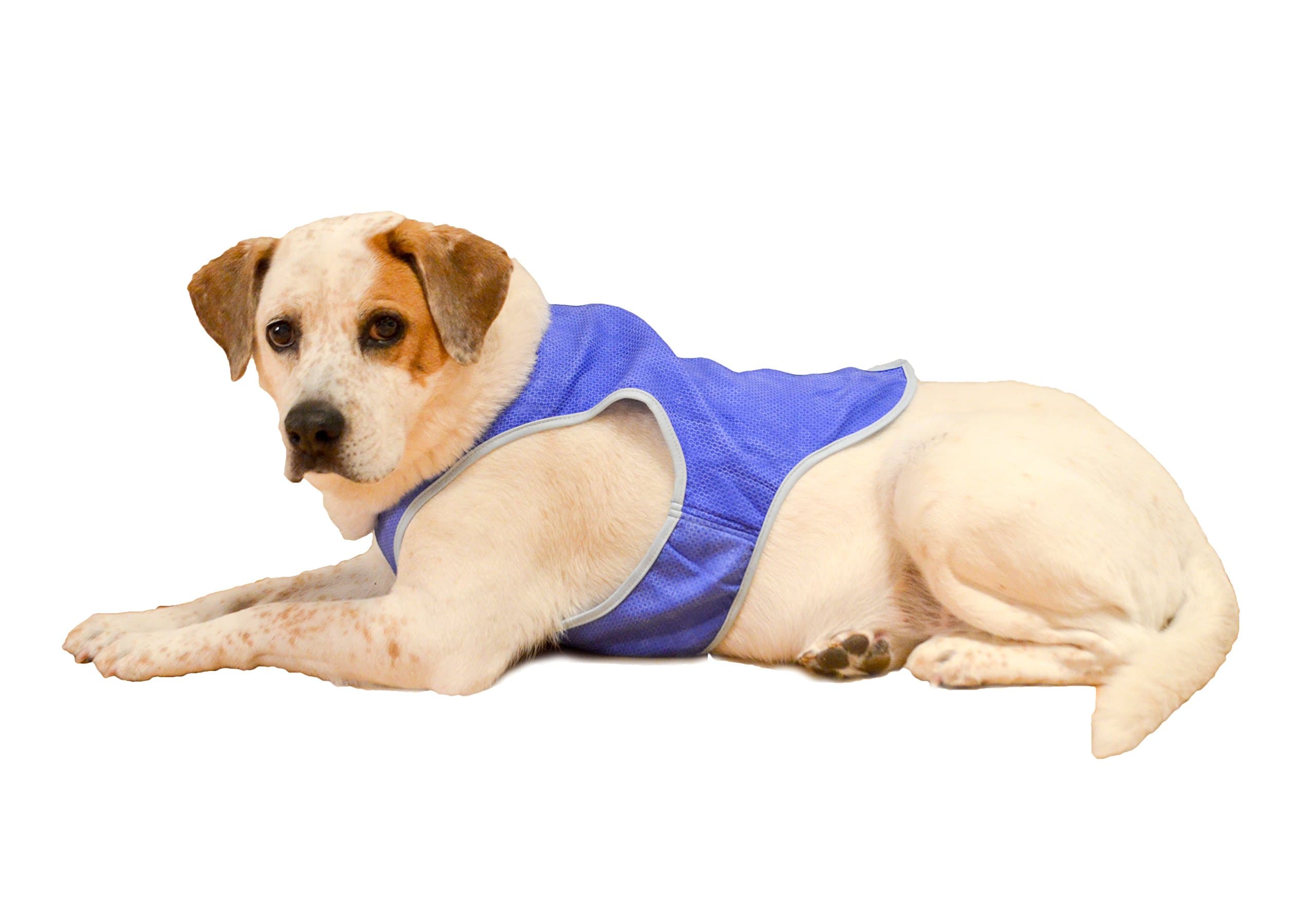 PupPal Pet Cooling Vest (Blue) - Large