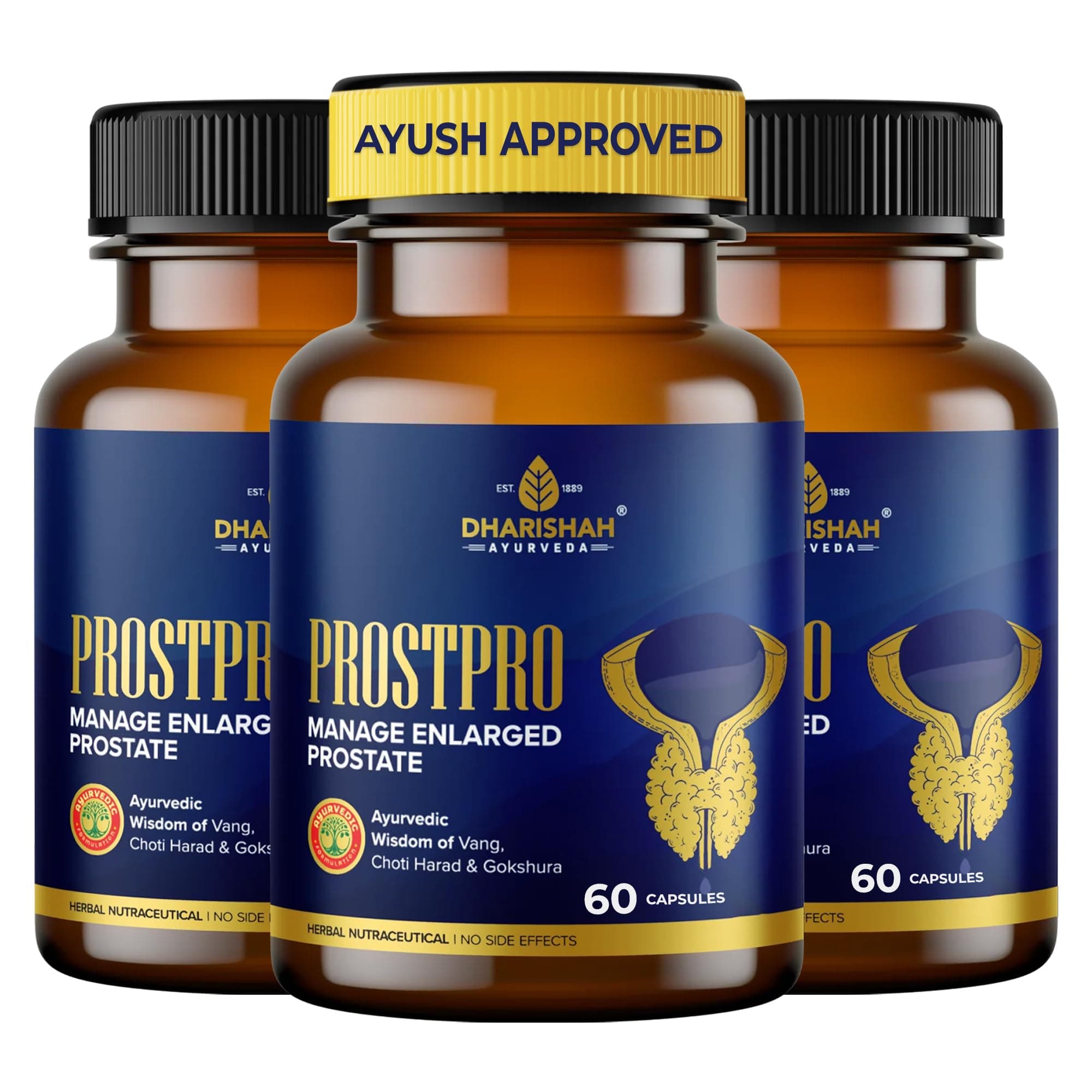 Dharishah Ayurveda ProstPro Capsules – Ayurvedic Prostate Care Capsules for Men | Prostate & Urinary Tract Health Support, Bladder Care & Male Wellness Supplement | Herbal Prostate Wellness – 180 Capsules