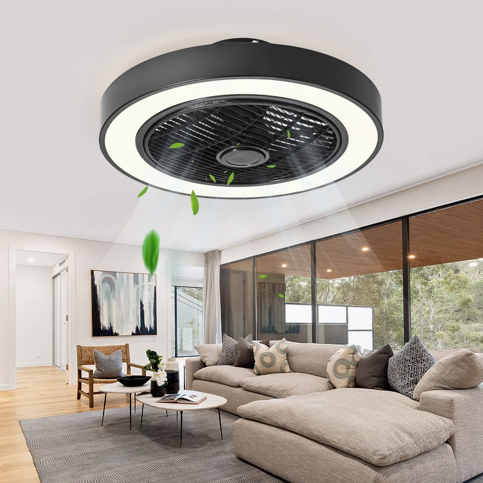 Jinweite Ceiling Fan with Light, 19 inches LED Remote Control Fully Dimmable Lighting Modes Invisible Acrylic Blades Metal Shell Semi Flush Mount Low Profile Fan,Black