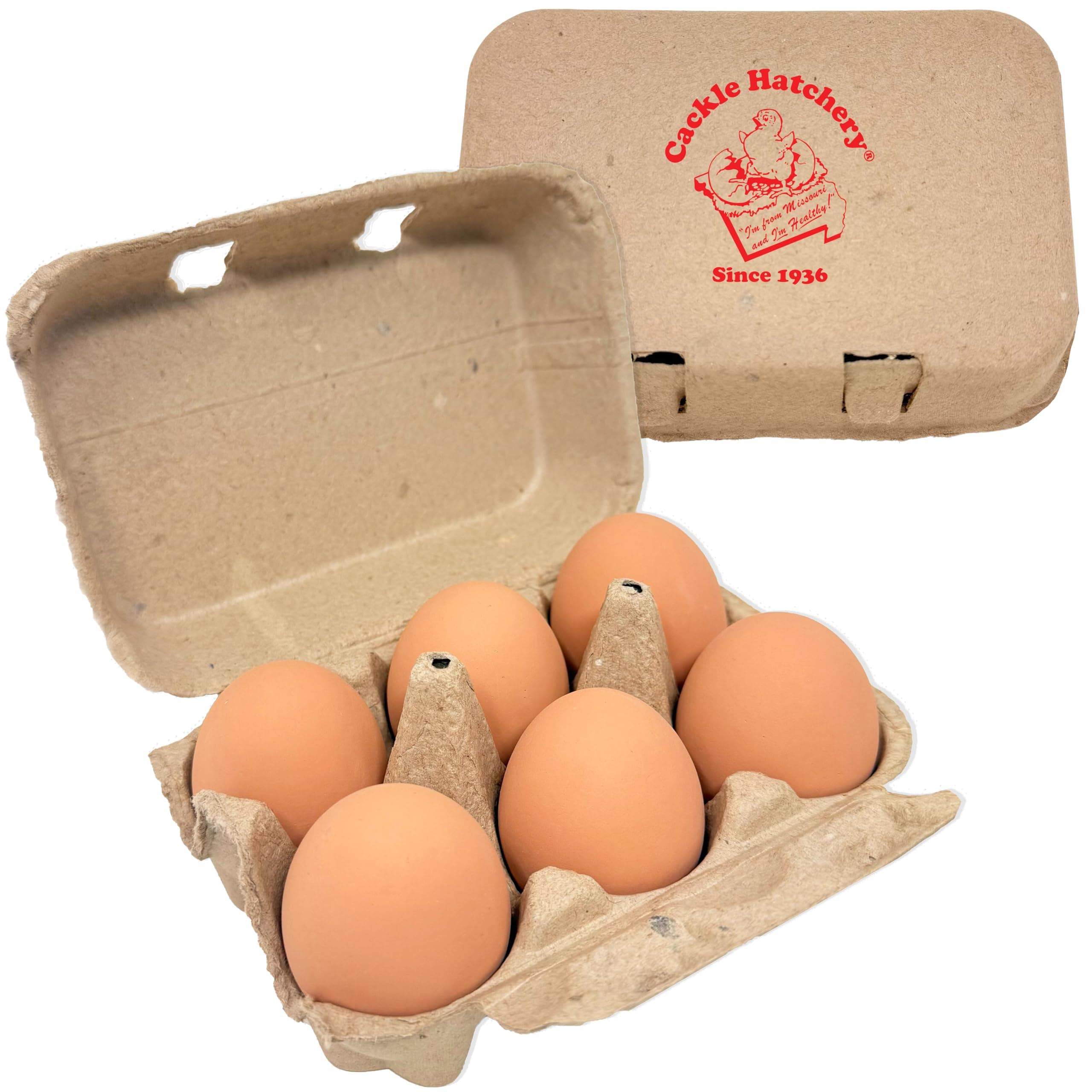 Ceramic Nest Eggs - Brown (6 Pack)
