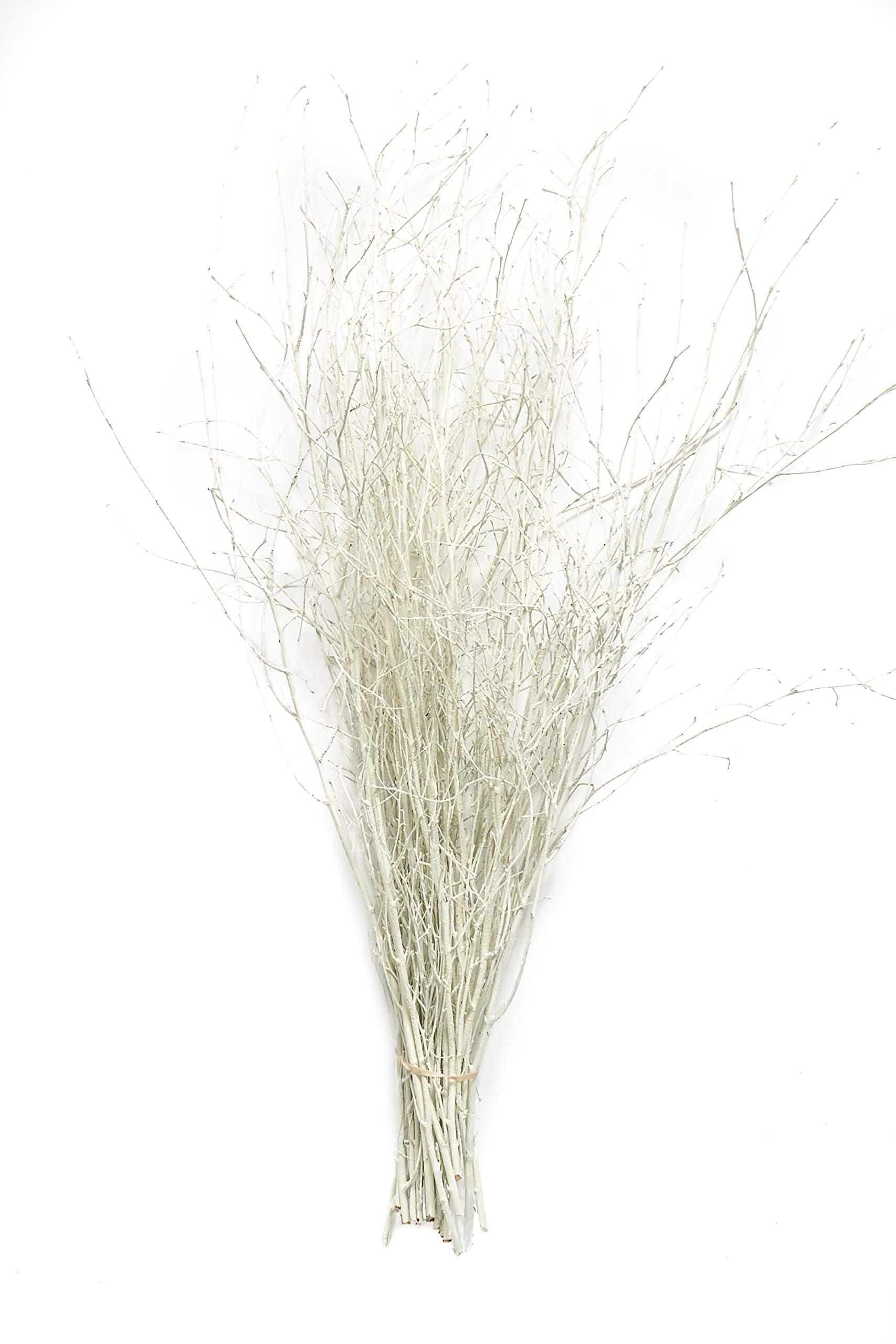 Decorative Coloured Birch Twigs and branches - Cream - 90cm's - 25 Stems