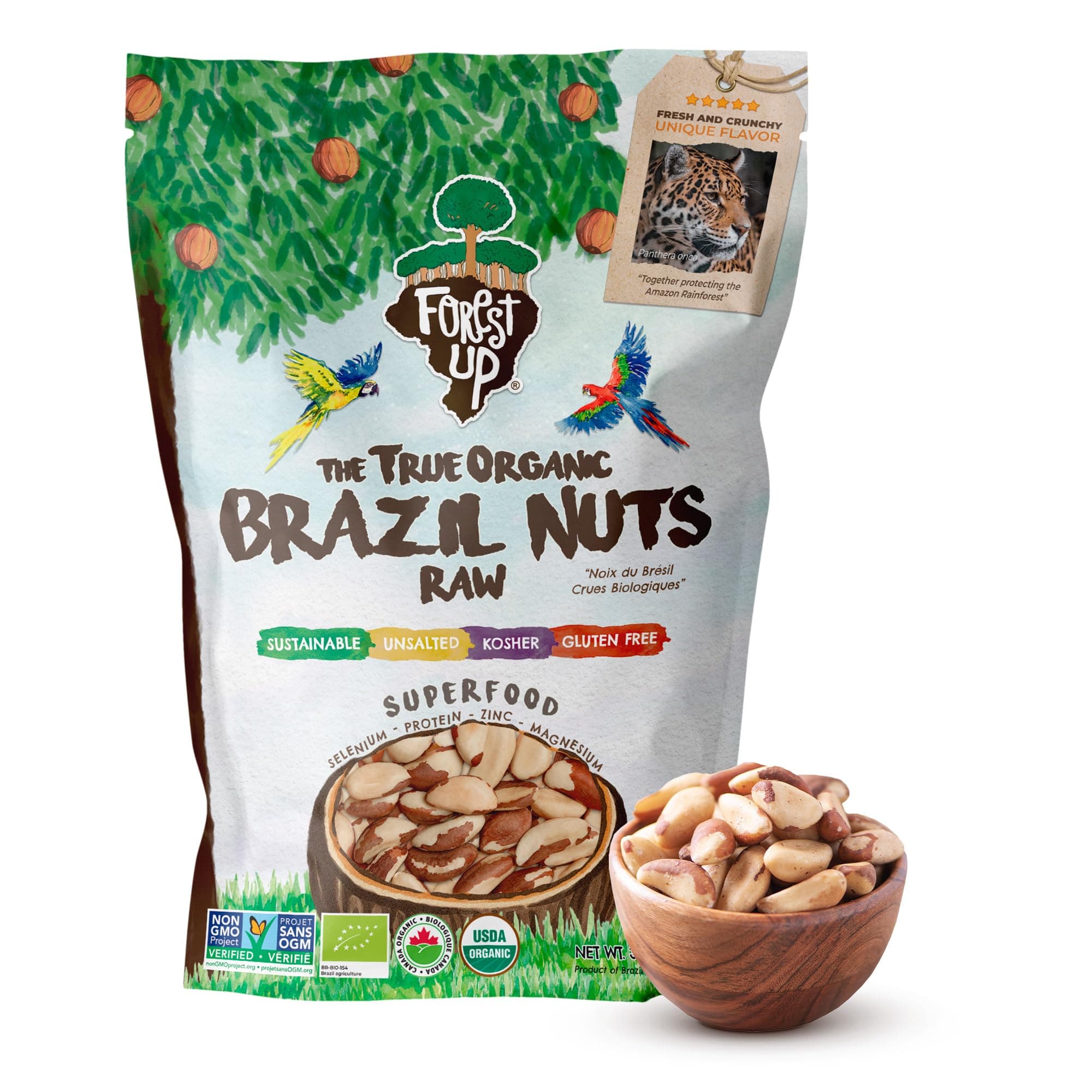 Snack The True Organic Brazil Nuts Medium Size 32 oz-2lbs – Raw and Unsalted – Kosher – Healthy-Rich in Vegetable Protein – Harvested in Amazon Rainforest – Fresh, Vegan and Gluten Free – Forest Up