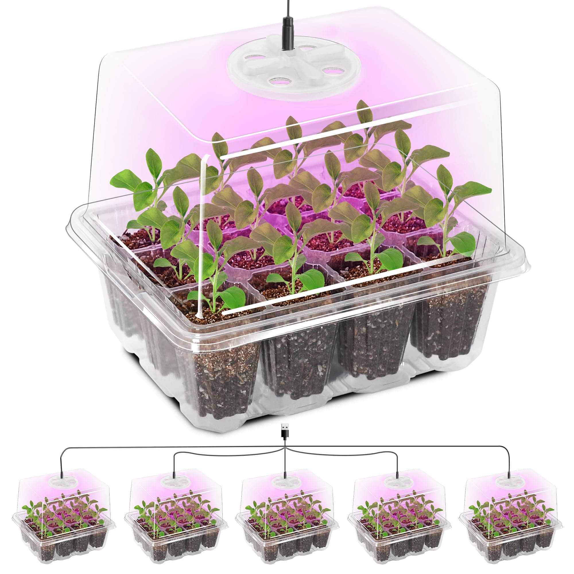 Seed Trays with Grow Light, 5 Pack Seed Trays with Lids, Propagators for Plants with Adjustable Lids and Clear Cell Tray, Propagator with 8 Full Spectrum Led Lamp Beads, For Indoor Plants, Clear