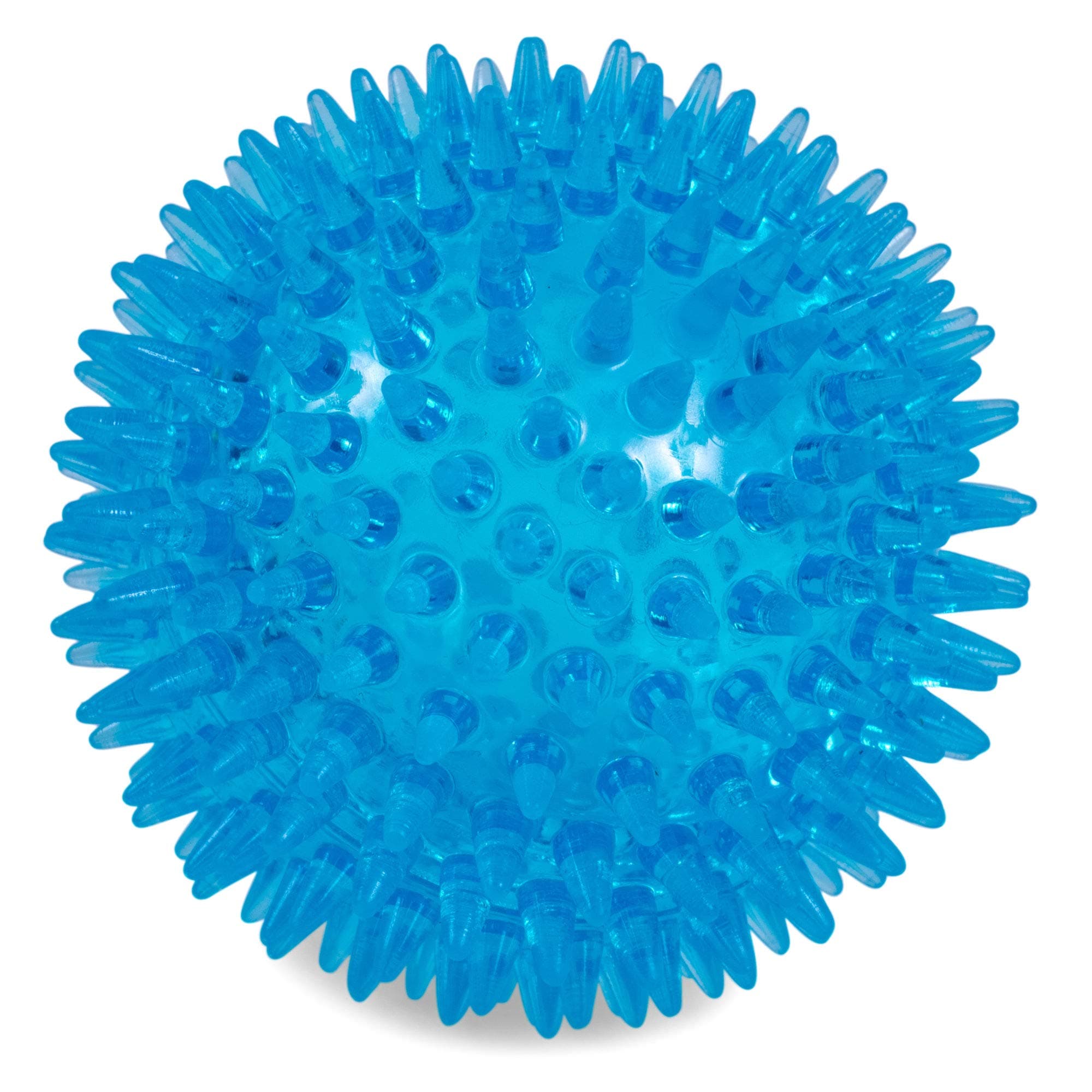 PetfaceToyz Space Ball, Large, Blue