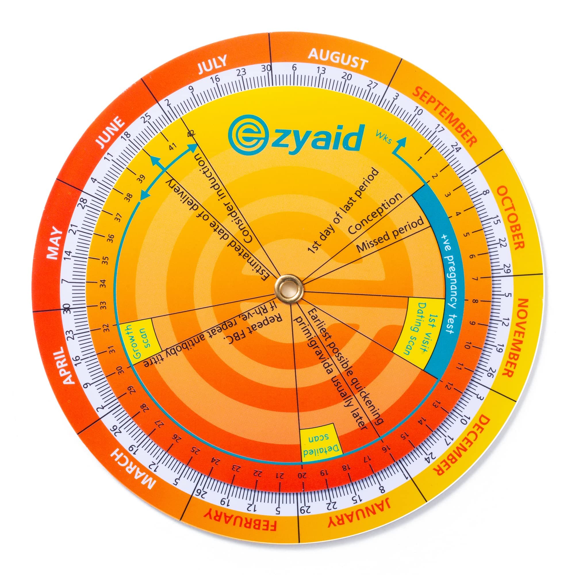 Pregnancy Wheel, Due Date OB-GYN Calculator with CRL, BPD, HC AC and FL Guide, EDC Wheel for Pregnant Women/Healthcare Providers
