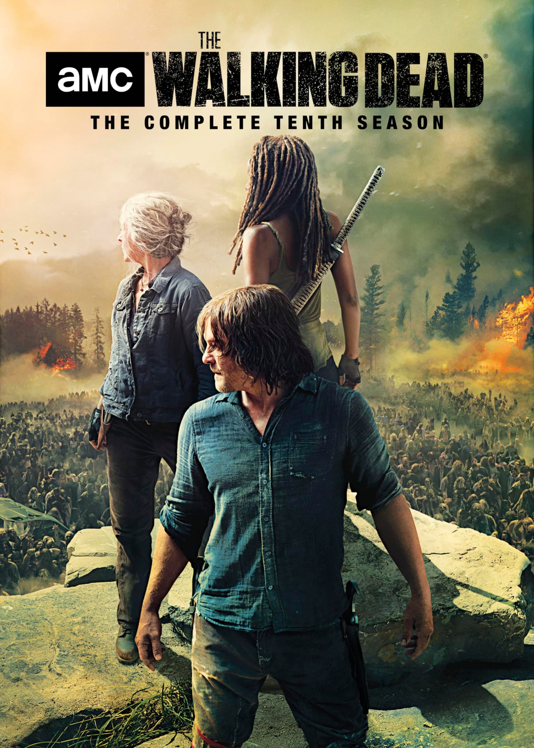 The Walking Dead: Season 10 - DVD