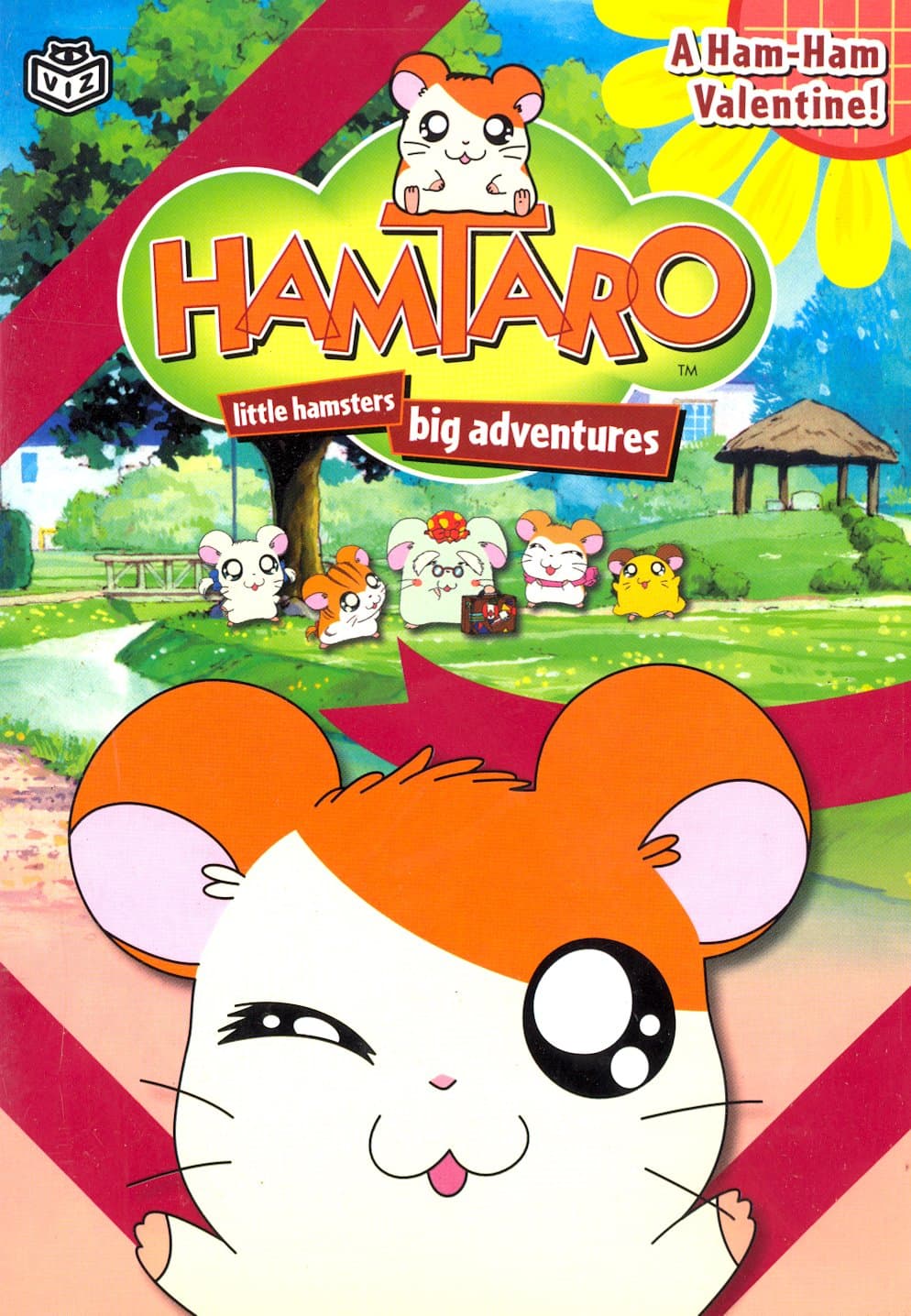 Hamtaro - Ham Ham Valentine (Vol. 5) [DVD]