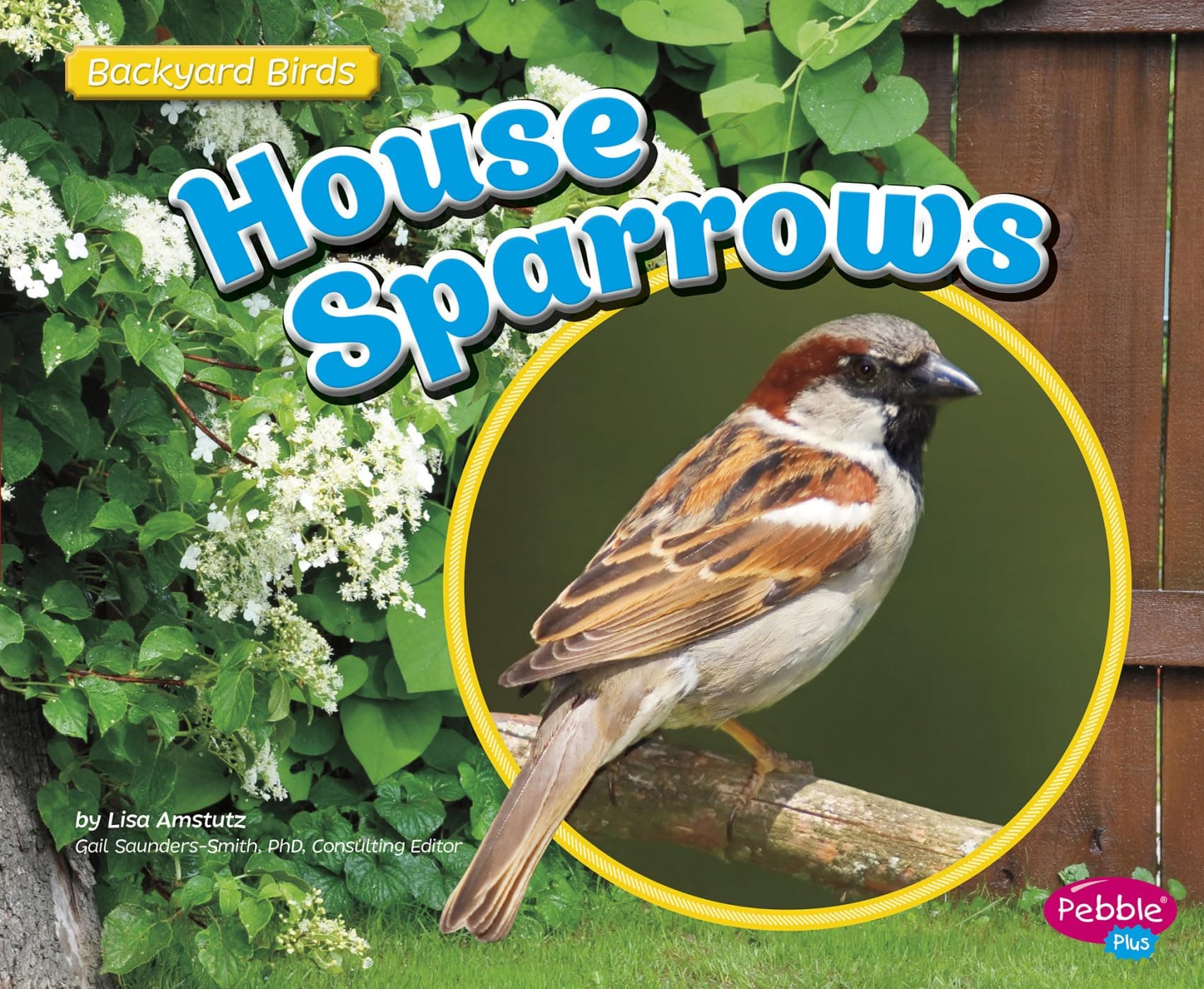 House Sparrows (Pebble Plus: Backyard Birds) Paperback – August 1, 2015