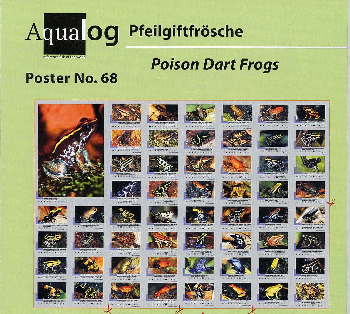 Aqualog: Poison Arrow/Dart Frogs Fold Poster