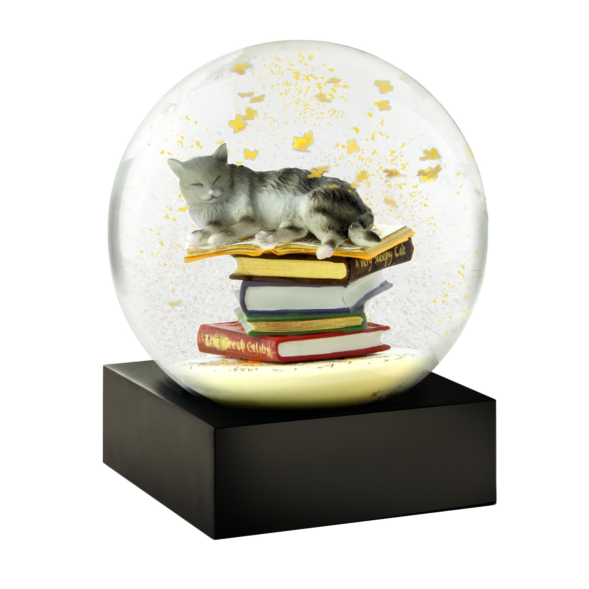 CoolSnowGlobesCat on Books Cool Snow Globe