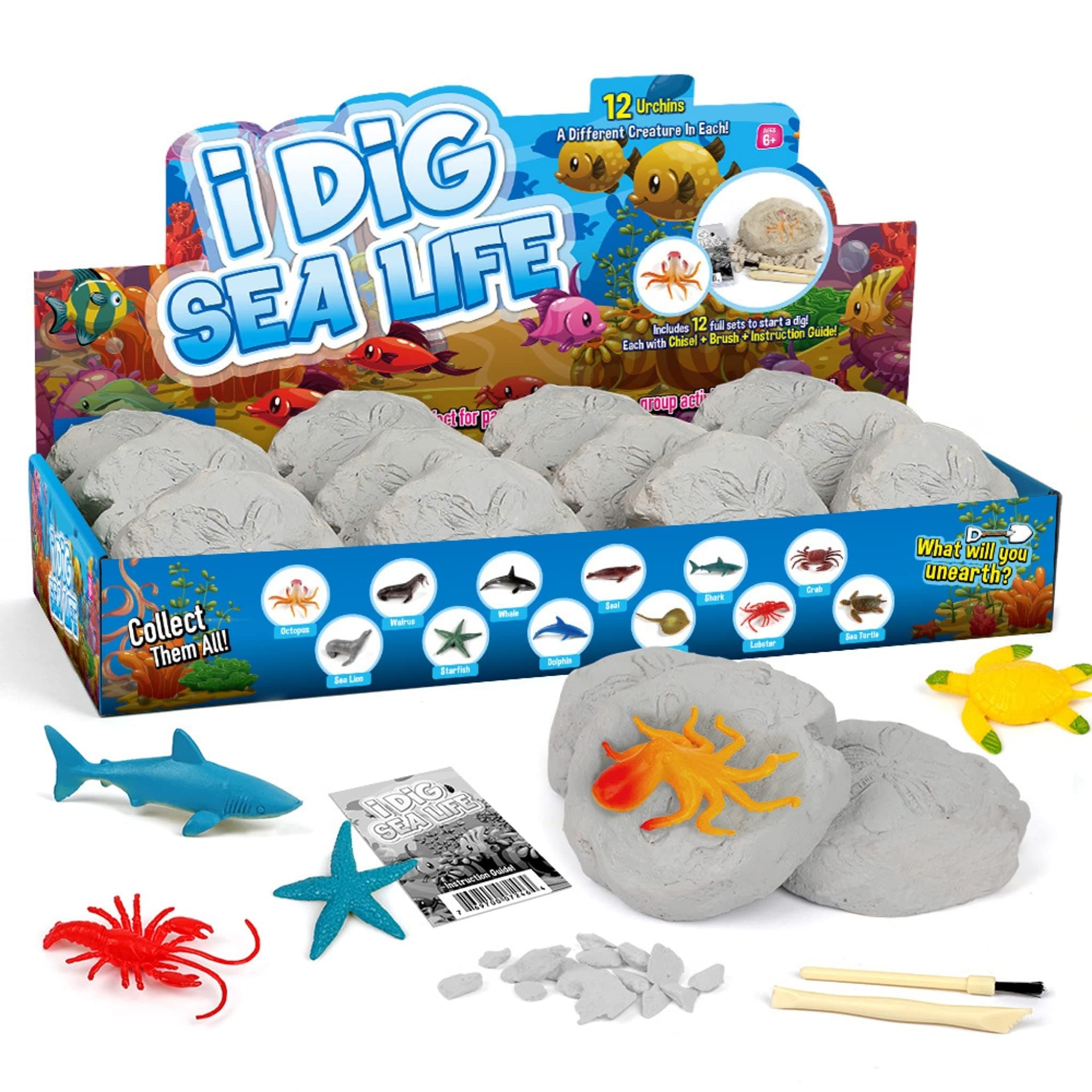 Sea Life Animals Egg Dig Kit Dig Bricks 12 Excavation Kits with 12 Unique Sea Life Toys Dinosaur Dig for Kids Easter Party Archaeology Paleontology Educational Science Gift