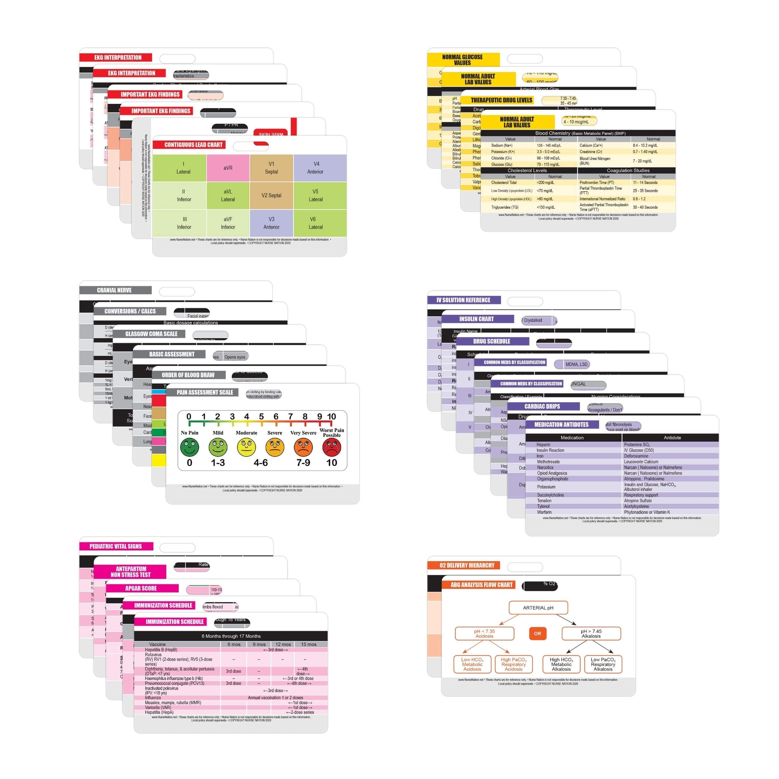 Nurse Nation 30 Horizontal Nursing Badge Reference Cards - Lab Values, EKG, Vitals, and More! (Bonus Cheat Sheets) Great Nurse Gifts - Nursing Student Accessories and Supplies!