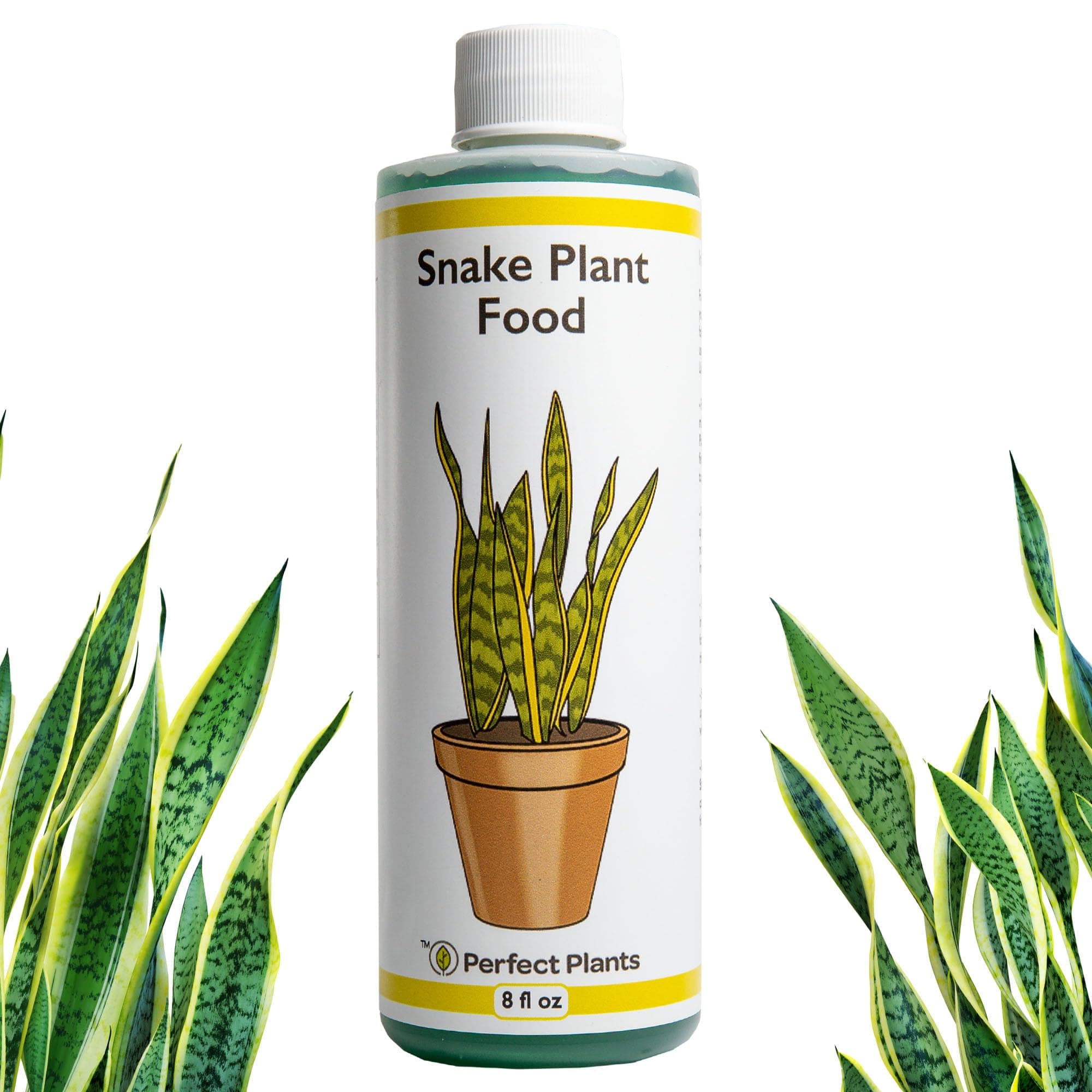 Liquid Snake Plant Fertilizer | 8oz. of Premium Concentrated Sansevieria Food | Use with Mother-in-Laws Tongue and Other Varieties