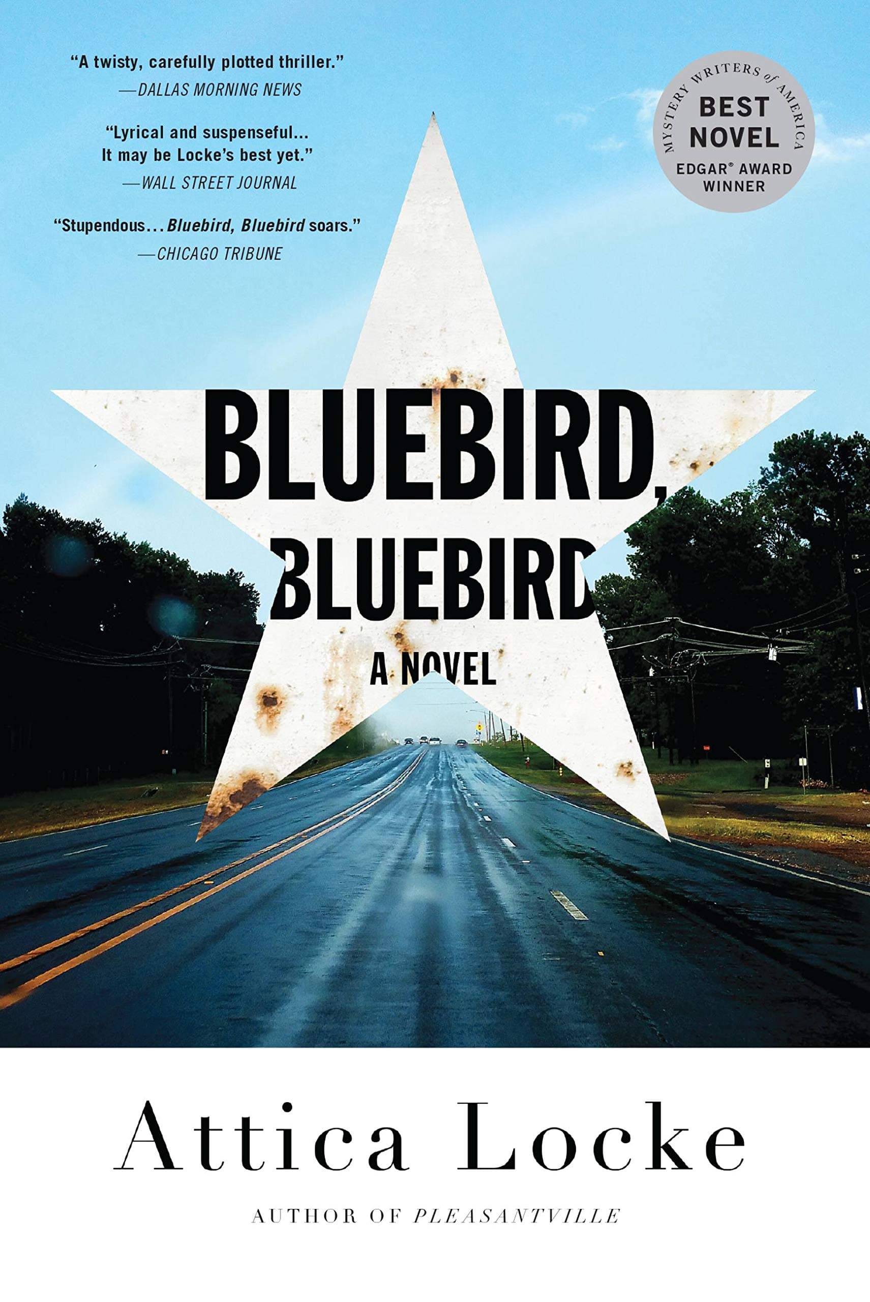 Bluebird, Bluebird (Highway 59 Book 1)