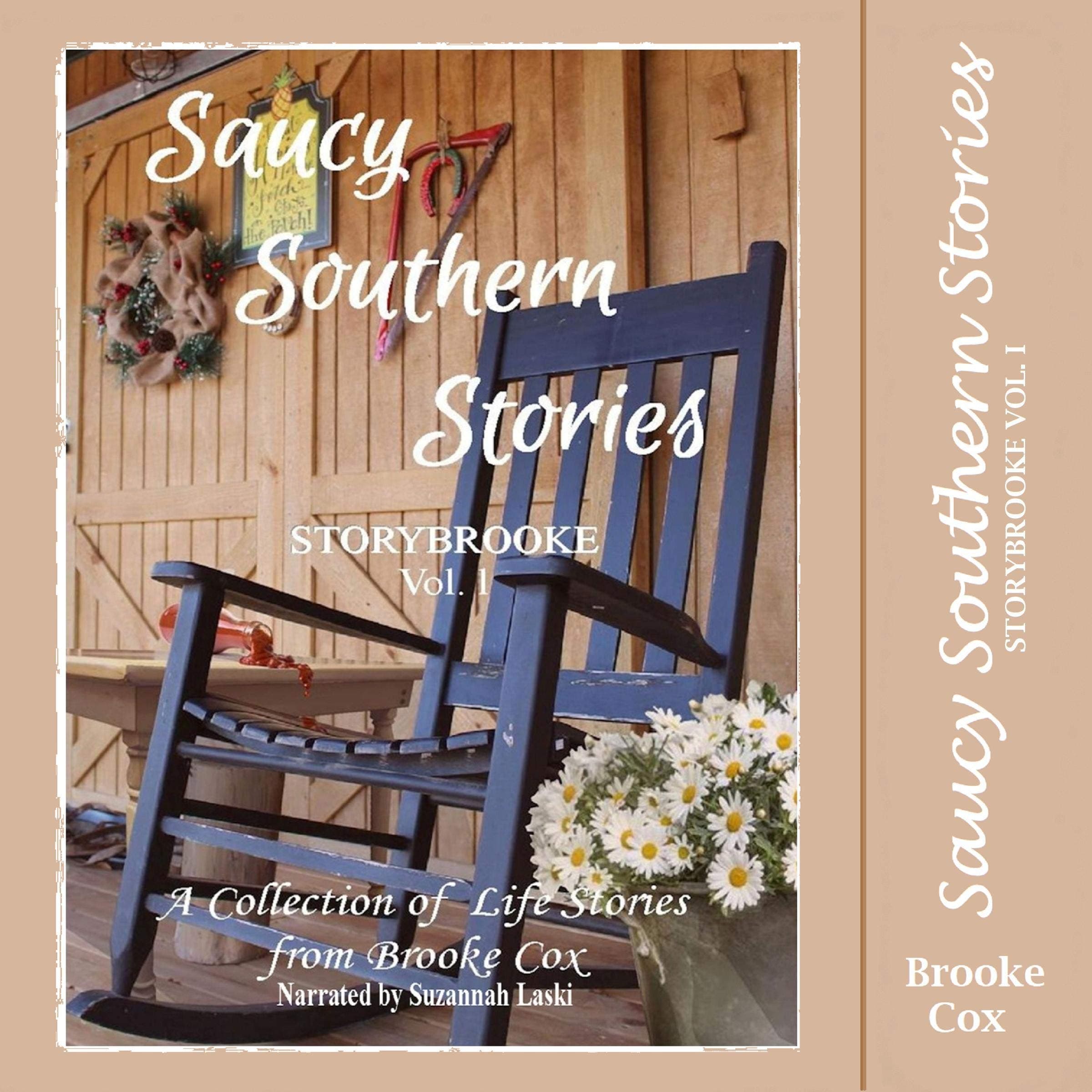 Saucy Southern Stories