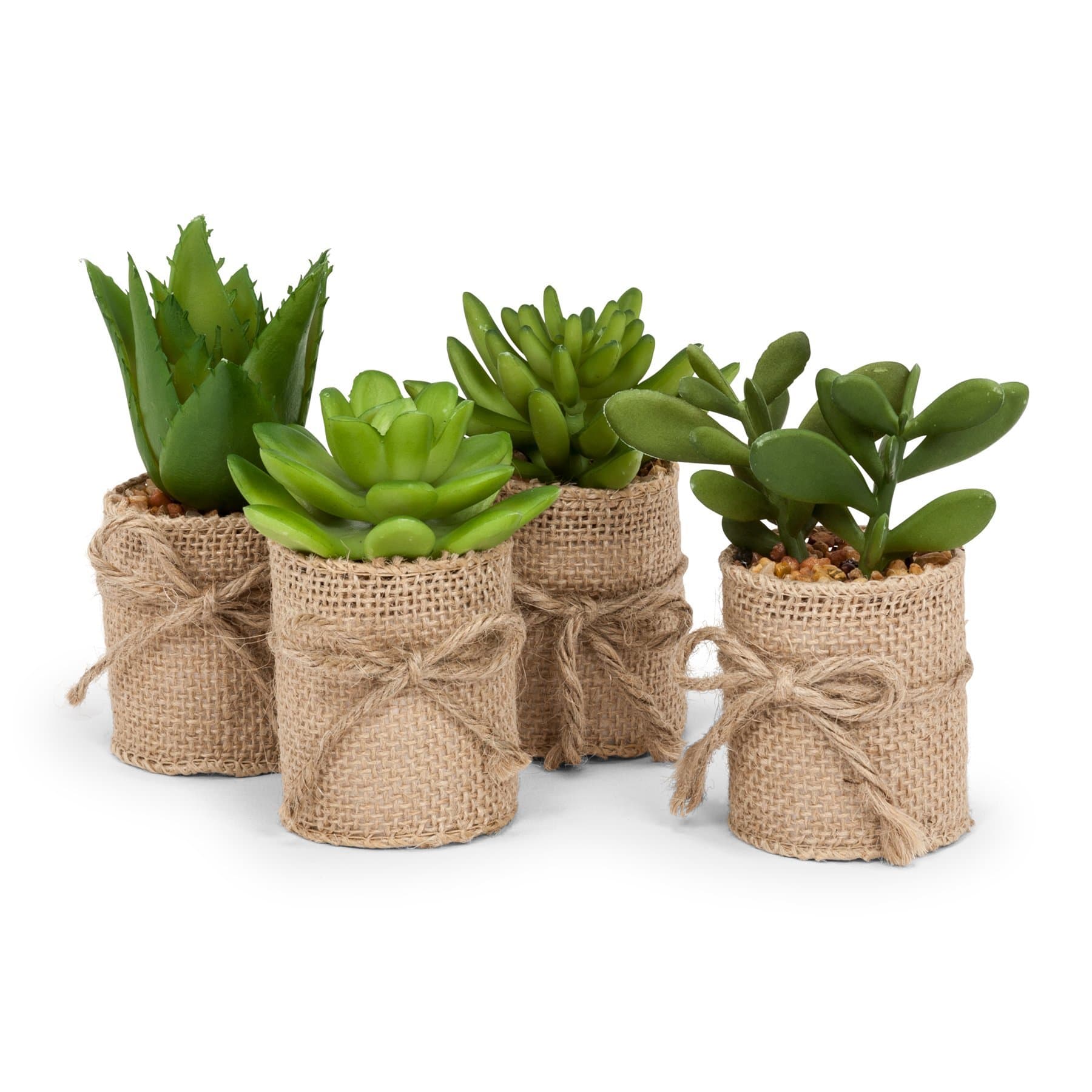 Set of Artificial Succulents