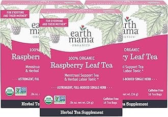 Earth Mama Organic Raspberry Leaf Tea Bags for Labor Tonic and Menstrual Support, 16-Count (3-Pack)