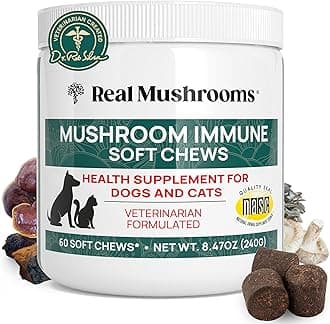 Real Mushrooms Soft Chews for Pets – Functional Treats with Reishi, Olive Leaf, Ashwagandha Blend – Cats & Dogs Vitamin Bites– Mushroom Supplement for Dogs & Cats Wellness Support, 60 Count