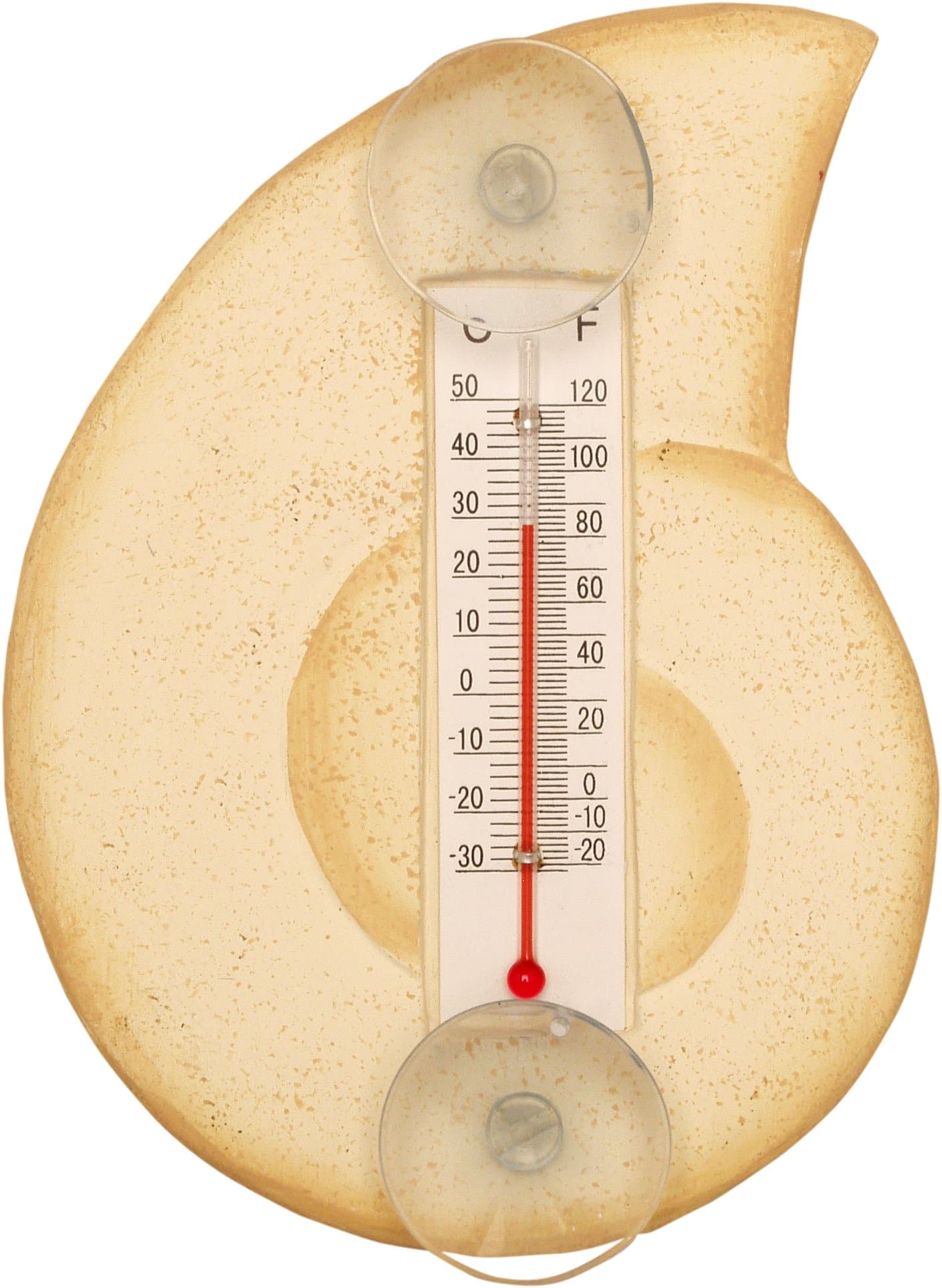 Songbird Essentials Cream Nautilus Shell Small Window Thermometer