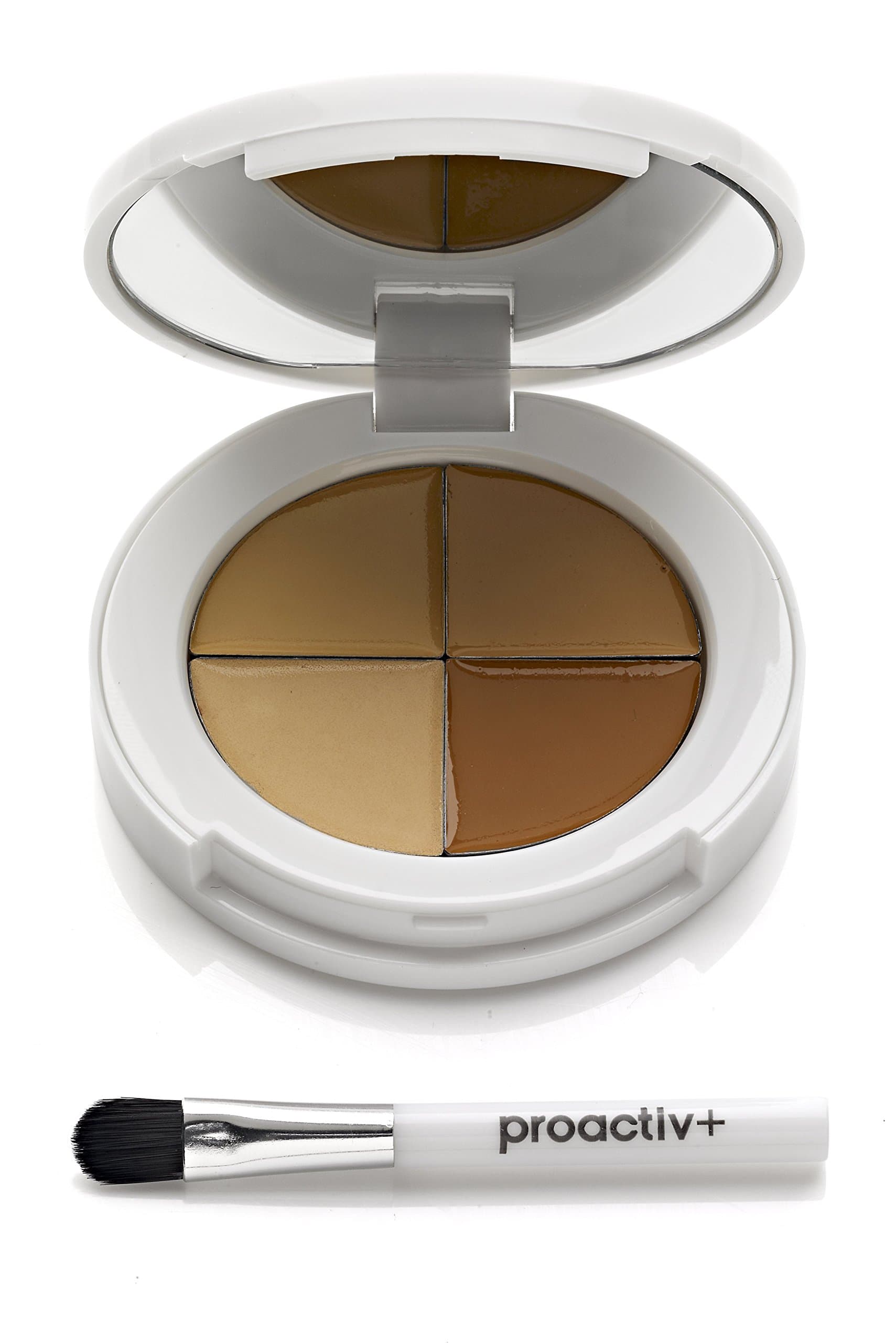 Proactiv Instant Fix Concealer
