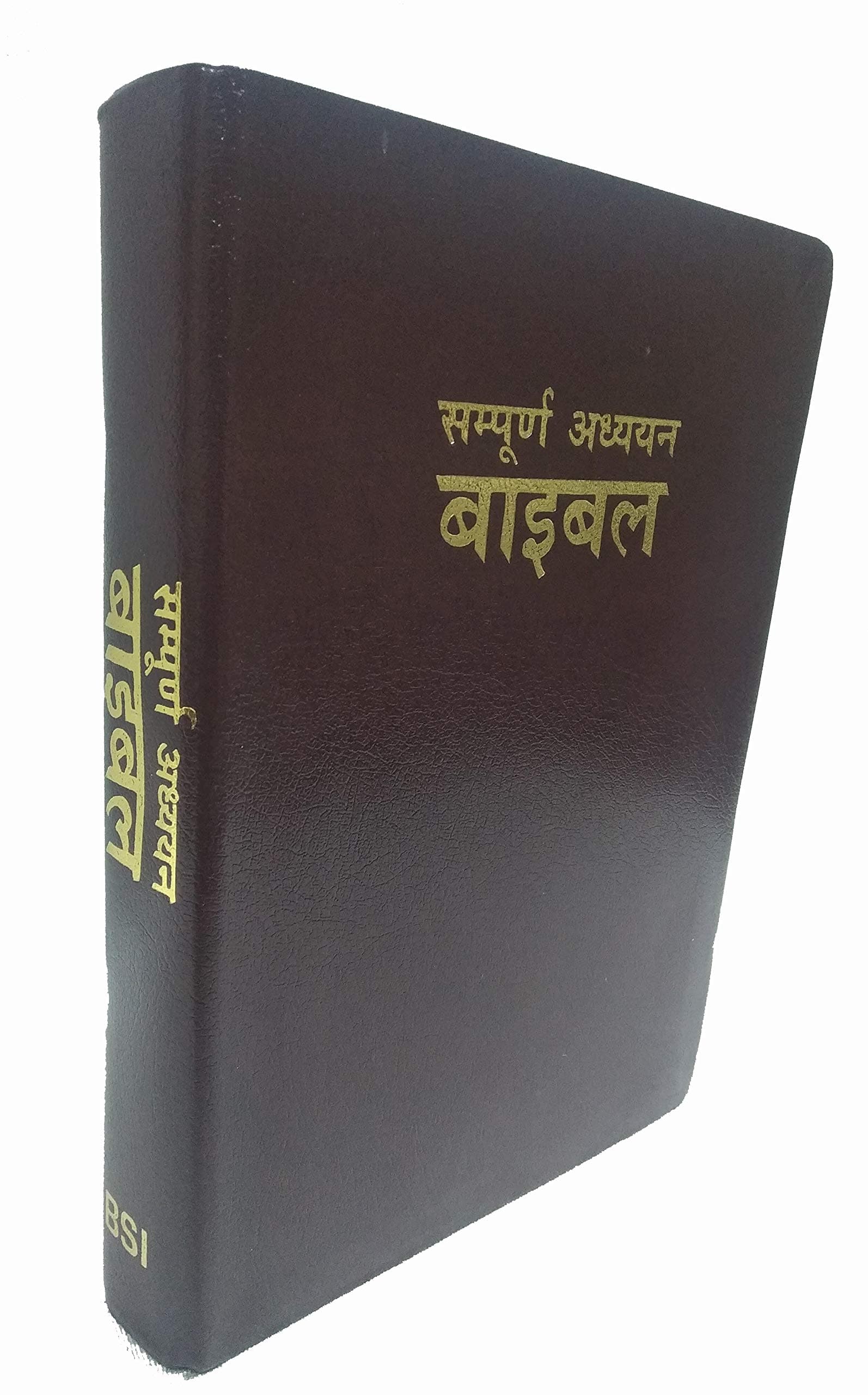 THE STUDY BIBLE IN HINDI Leather Bound Leather Bound – 1 January 2014