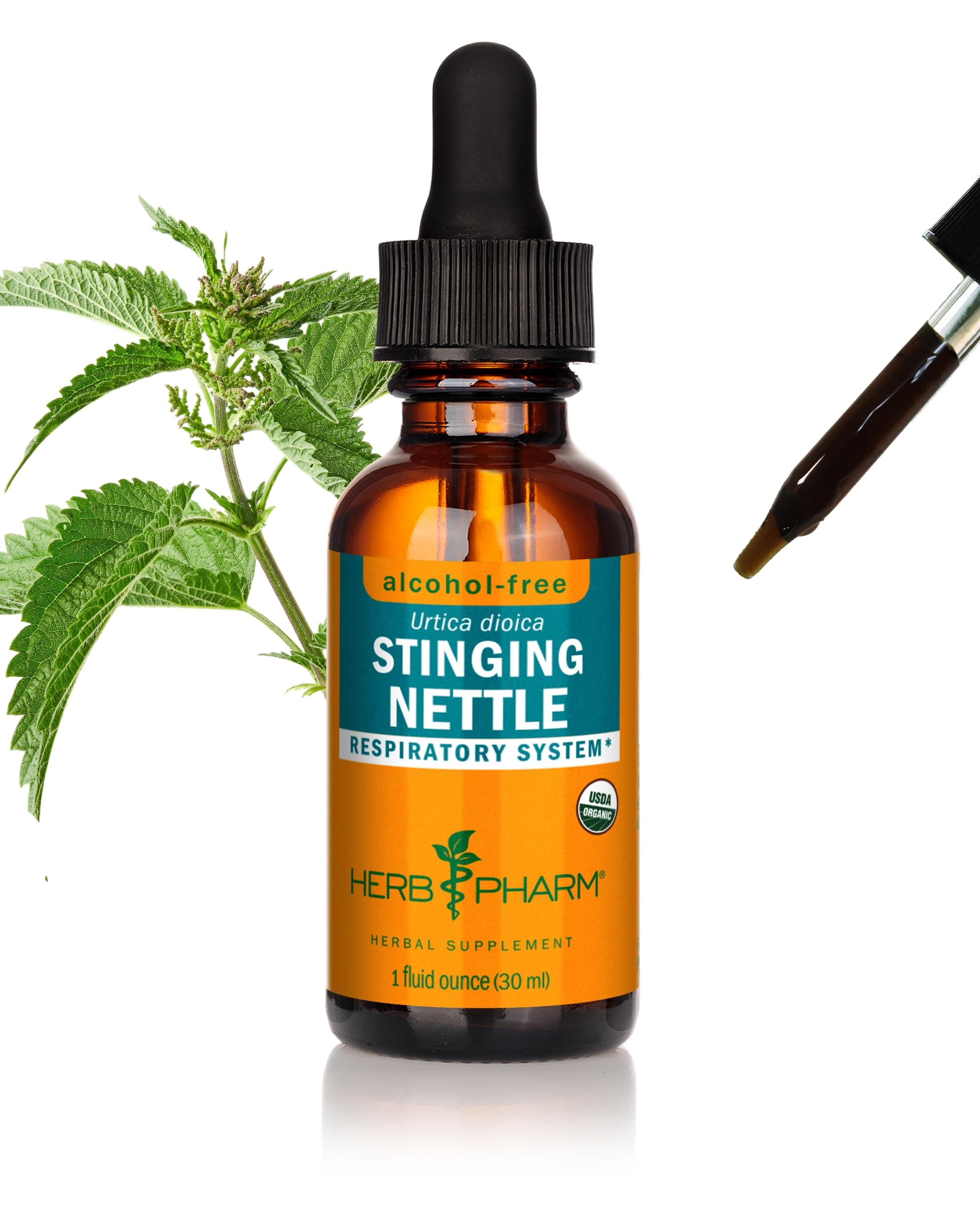 Stinging Nettle Glycerite 1 Oz
