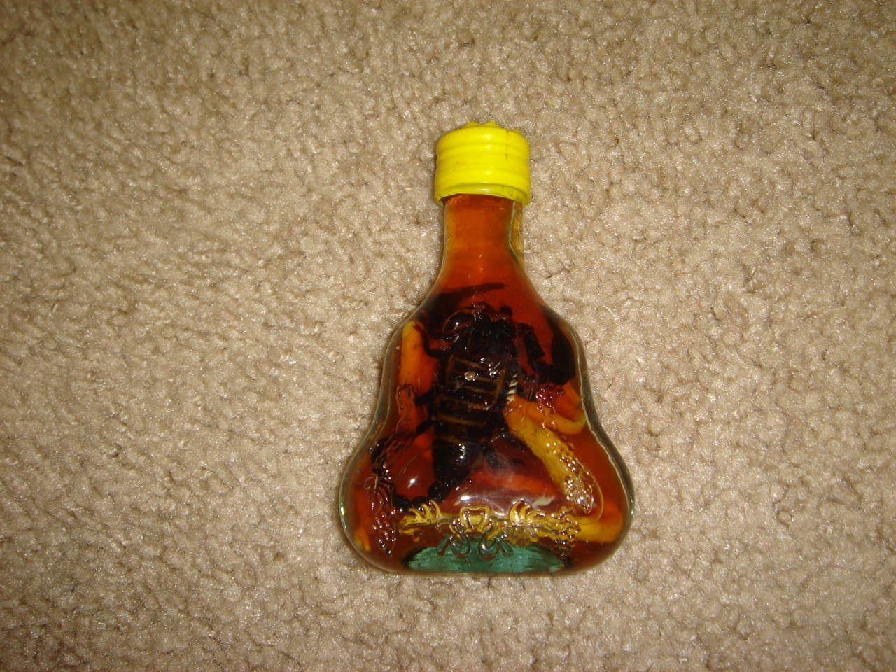 Scorpion in a Small Glass Bottle
