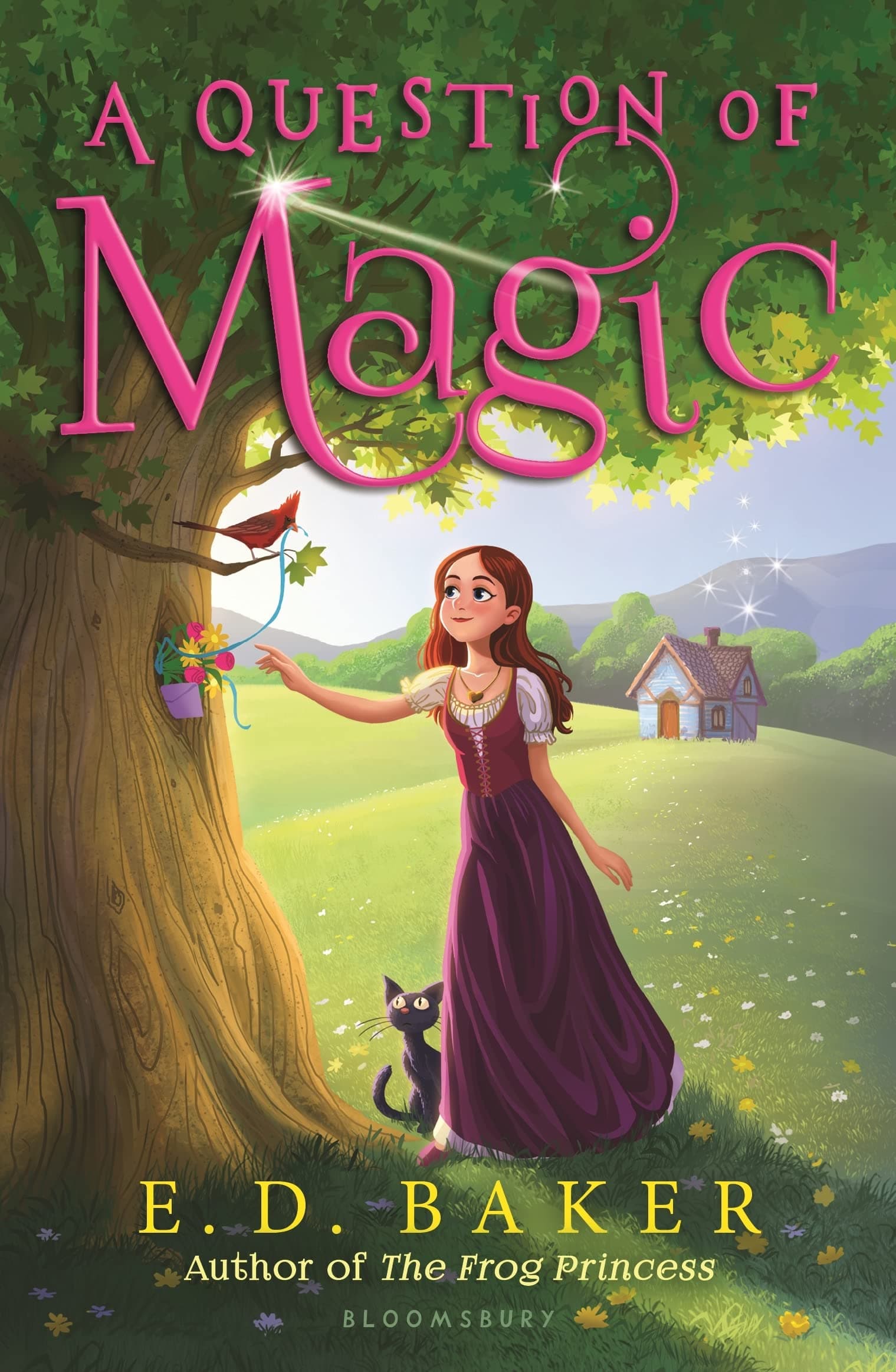 A Question of Magic Paperback – August 4, 2015