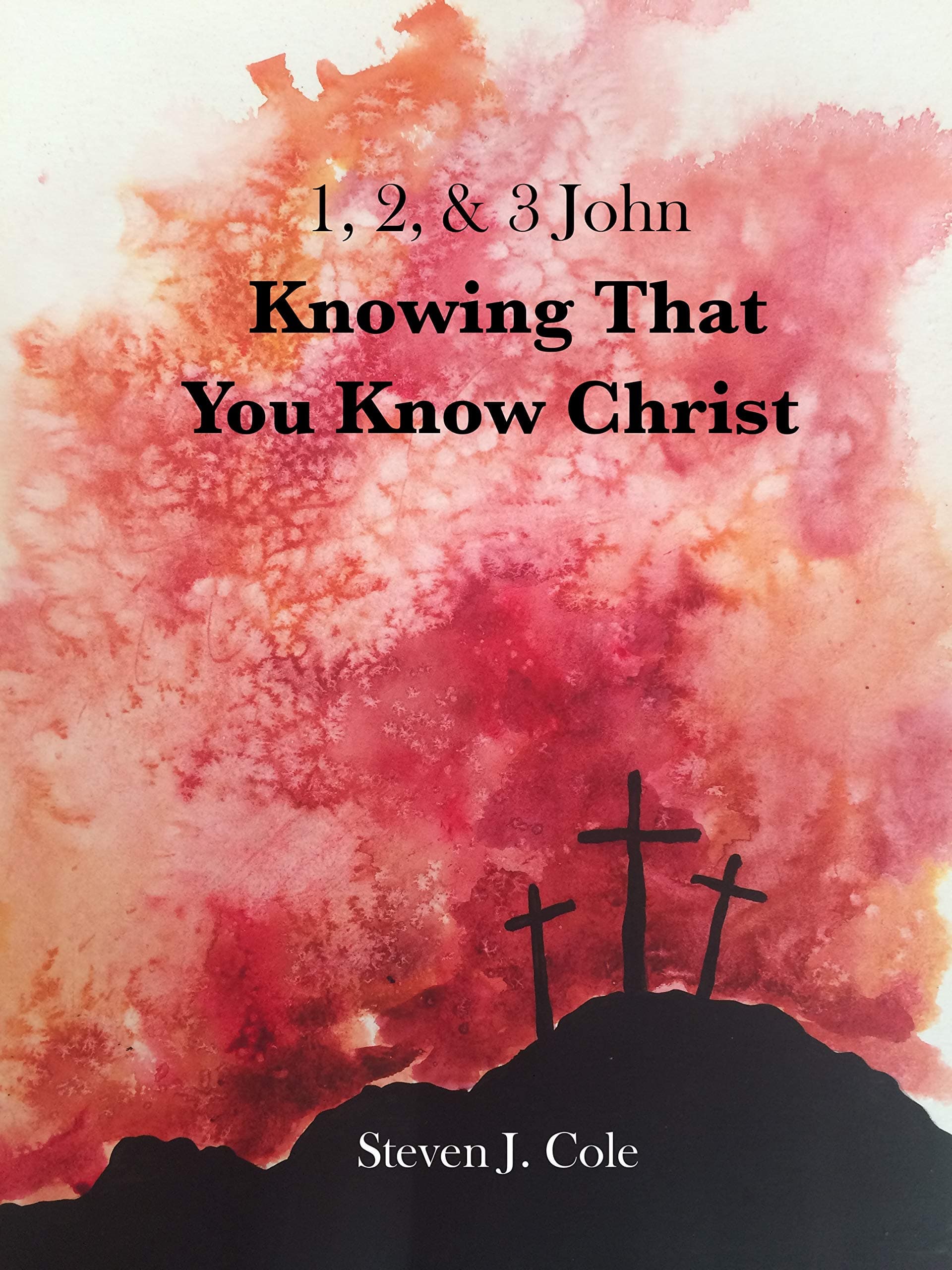 Knowing that You Know Christ: 1, 2, & 3 John (Riches from the Word)