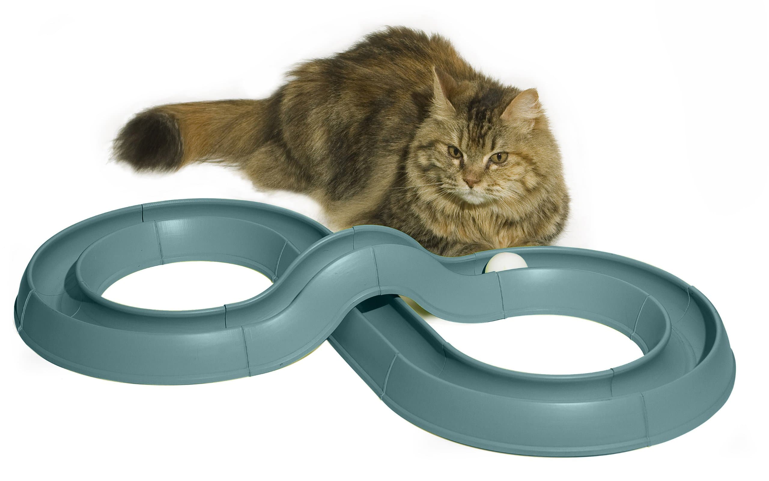 Bergan Turbo Track Cat Toy
