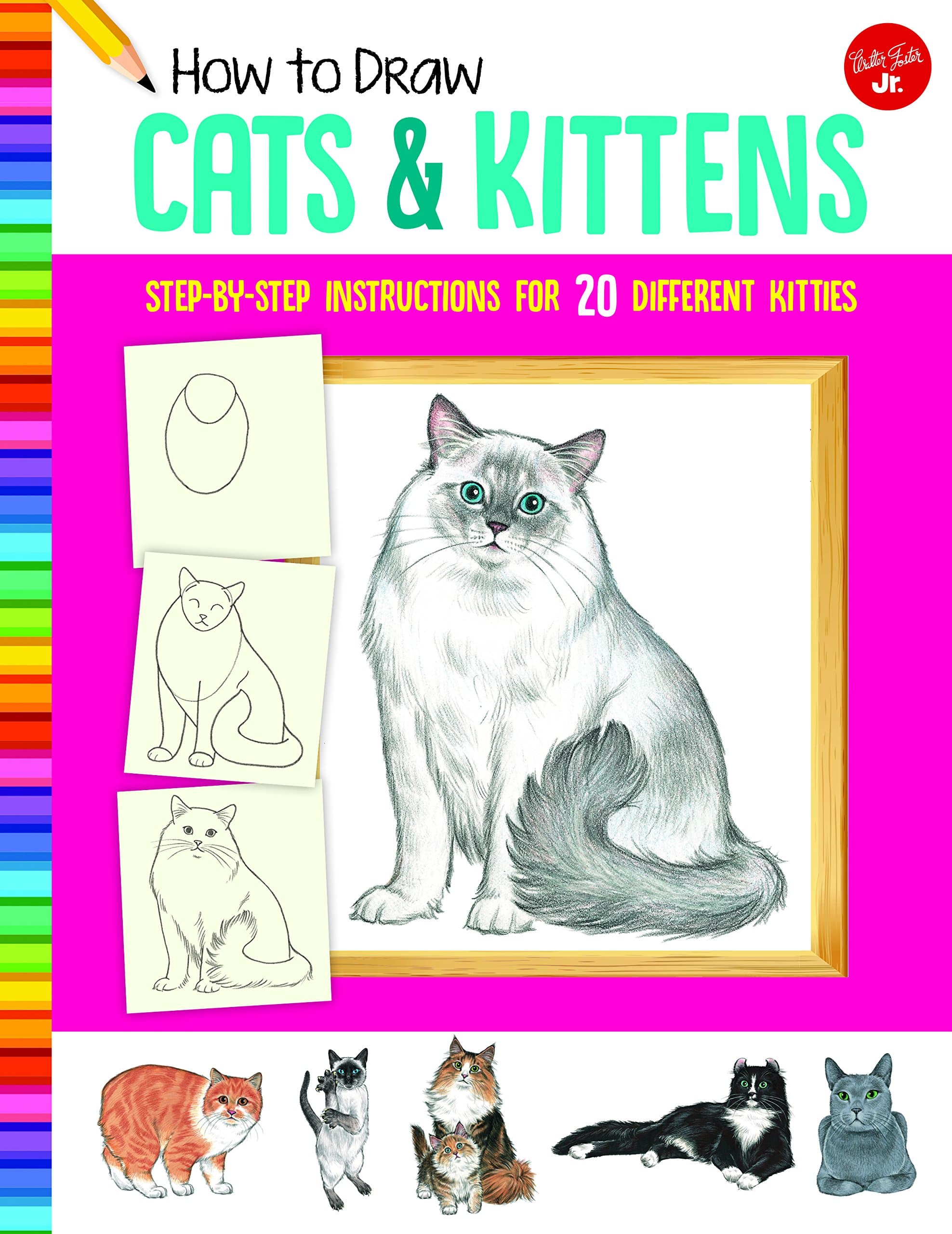 How to Draw Cats & Kittens: Step-by-step instructions for 20 different kitties (Learn to Draw)