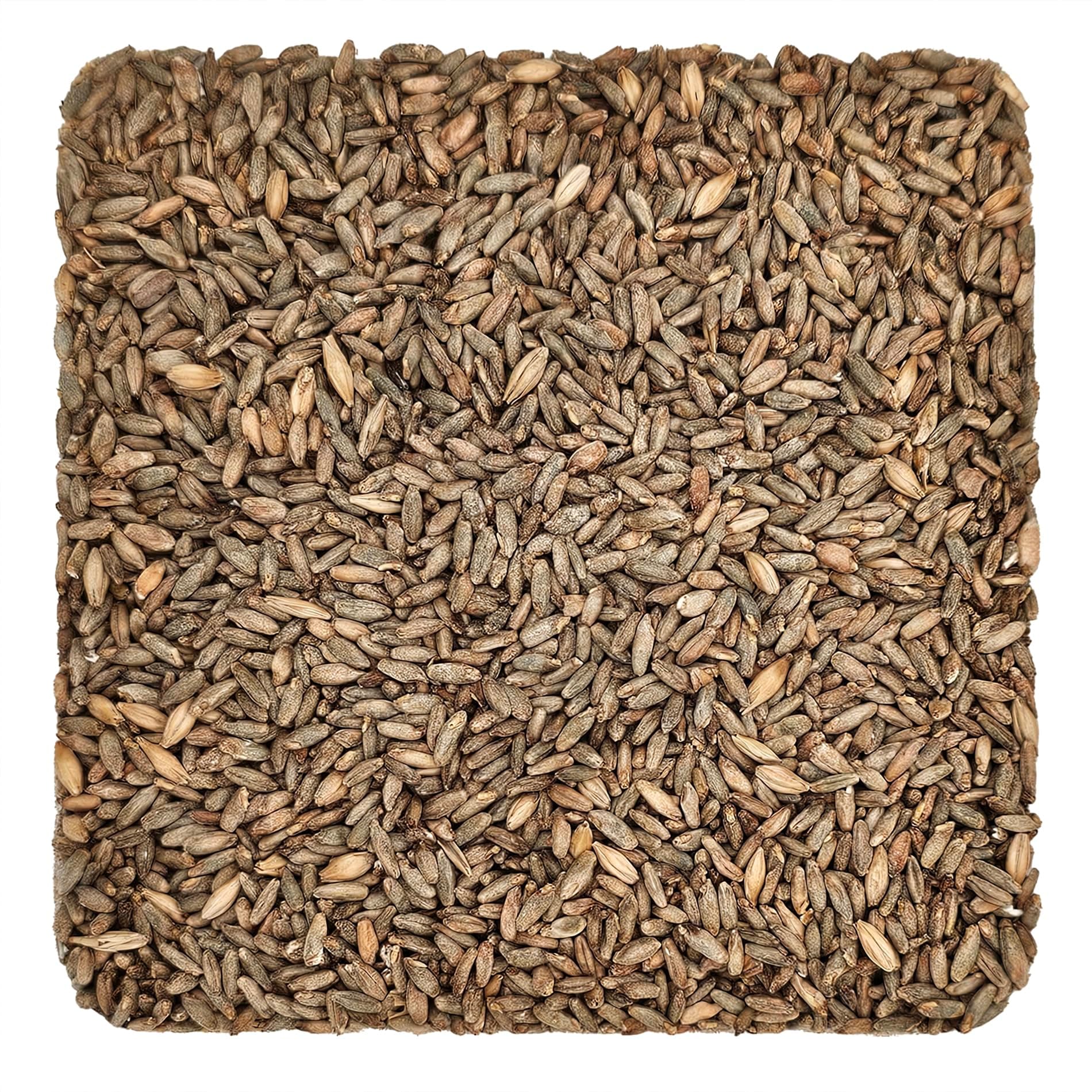 Briess Rye Malt, 5 Lb