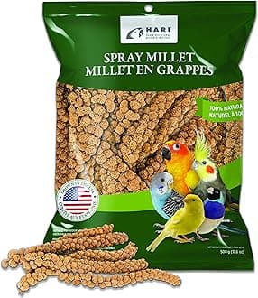 Living World – Millet Spray for Birds, 17.6 Oz – Premium Treat for Budgies, Canaries, Finches, Cockatiels and Other Pet Birds