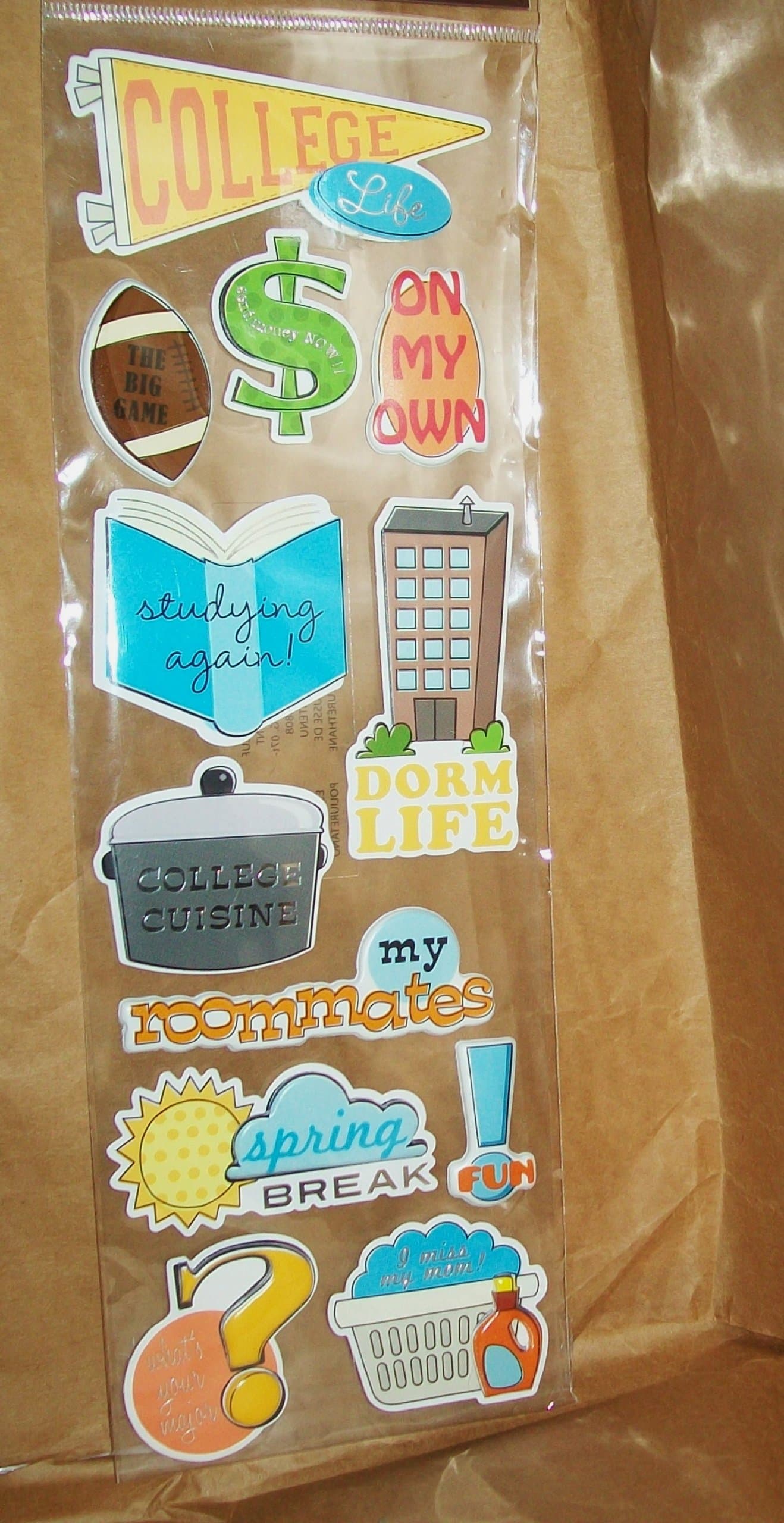 Recollections Dimensional Stickers - College Themed